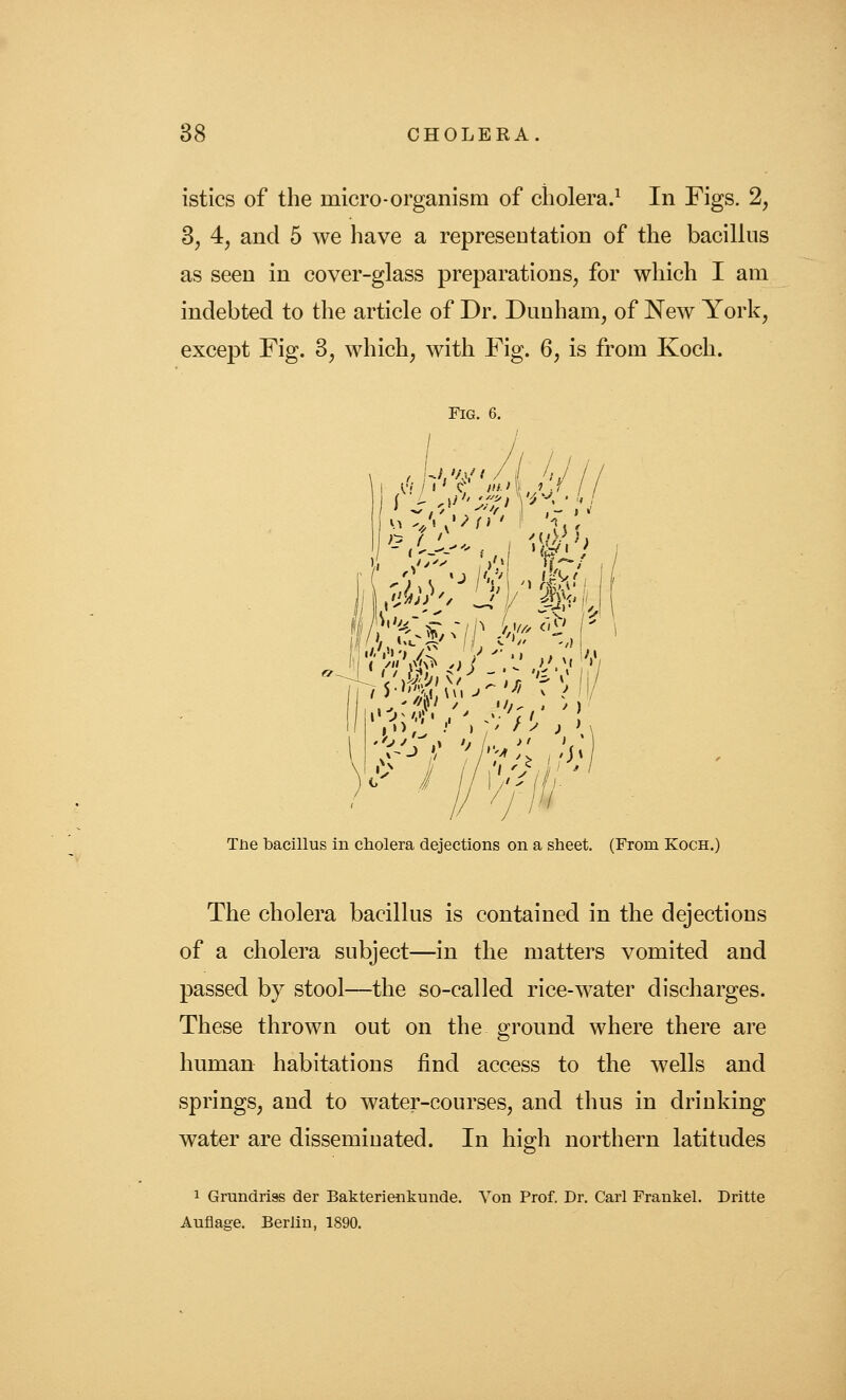 istics of the micro-organism of cholera.^ In Figs. 2, 3, 4, and 5 we have a representation of the bacilhis as seen in cover-glass preparations, for which I am indebted to the article of Dr. Dunham, of New York, except Fig. 3, which, with Fig. 6, is from Koch. Fig. Tiie bacillus in cholera dejections on a sheet. (From Koch.) The cholera bacillus is contained in the dejections of a cholera subject—in the matters vomited and passed by stool—the so-called rice-water discharges. These thrown out on the ground where there are human habitations find access to the wells and springs, and to water-courses, and thus in drinking water are disseminated. In his^h northern latitudes 1 Grundriss der Bakterienkunde. Von Prof. Dr. Carl Frankel. Dritte Auflage. Berlin, 1890.