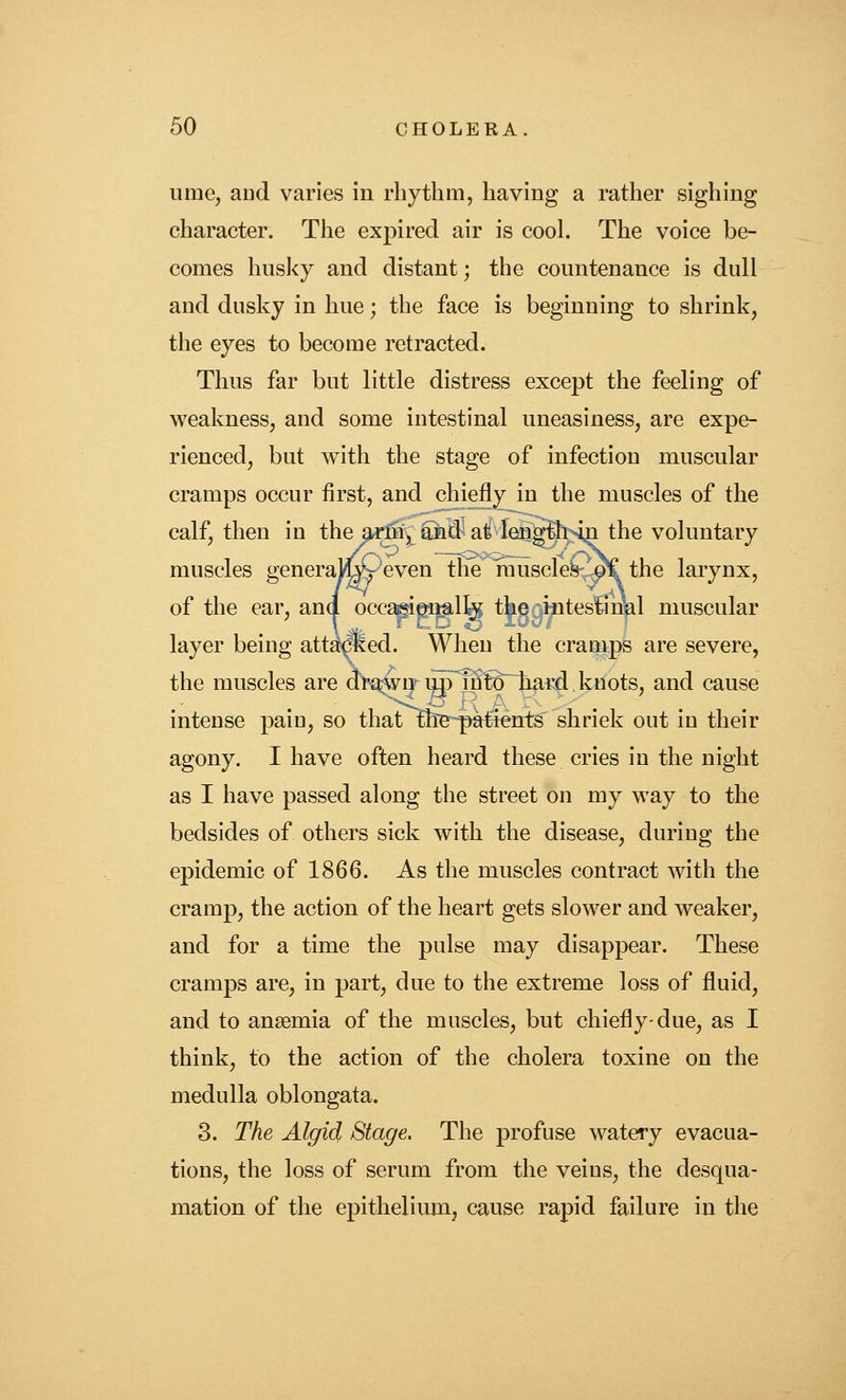 ume, aud varies in rhythm, having a rather sighing character. The expired air is cool. The voice be- comes husky and distant; the countenance is dull and dusky in hue; the face is beginning to shrink, the eyes to become retracted. Thus far but little distress except the feeling of weakness, and some intestinal uneasiness, are expe- rienced, but with the stage of infection muscular cramps occur first, and chiefly in the muscles of the calf, then in the arm, and at length in the voluntary muscles generam^-'even the inuscleSv^. the larynx, of the ear, and occasi^^lfy the intestinal muscular layer being att^dled. When the cramps are severe, the muscles are dVo^i^i^^t^^^r^.kdots, and cause intense pain, so that tbe^^entgshriek out in their agony. I have often heard these cries in the night as I have passed along the street on my way to the bedsides of others sick with the disease, during the epidemic of 1866. As the muscles contract with the cramp, the action of the heart gets slower and weaker, and for a time the pulse may disappear. These cramps are, in part, due to the extreme loss of fluid, and to ansemia of the muscles, but chiefly-due, as I think, to the action of the cholera toxine on the medulla oblongata. 3. The Algid Stage. The profuse watery evacua- tions, the loss of serum from the veins, the desqua- mation of the epithelium, cause rapid failure in the