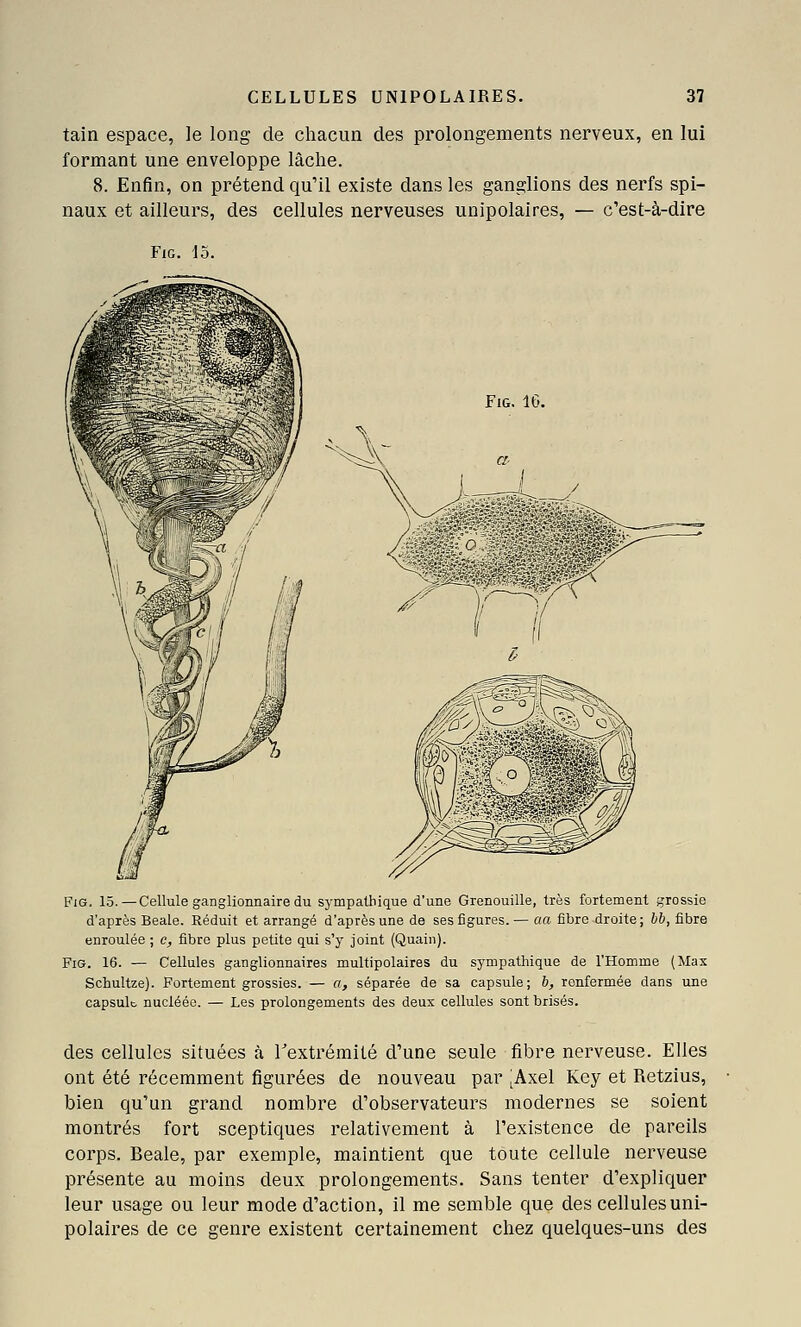 tain espace, le long de chacun des prolongements nerveux, en lui formant une enveloppe lâche. 8. Enfin, on prétend qu'il existe dans les ganglions des nerfs spi- naux et ailleurs, des cellules nerveuses unipolaires, — c'est-à-dire FiG. 15. FiG. 16. FiG, 15. — Cellule ganglionnaire du sympathique d'une Grenouille, très fortement grossie d'après Beale. Réduit et arrangé d'après une de ses figures.— cm fibre droite; 66, fibre enroulée ; c, fibre plus petite qui s'y joint (Quaiii). FiG. 16. — Cellules ganglionnaires multipolaires du sympathique de l'Homme (Max Schultze). Portement grossies. — a, séparée de sa capsule; b, renfermée dans une capsulfc nucléée. — Les prolongements des deux cellules sont brisés. des cellules situées à rextrémité d'une seule fibre nerveuse. Elles ont été récemment figurées de nouveau par ^Axel Key et Retzius, bien qu'un grand nombre d'observateurs modernes se soient montrés fort sceptiques relativement à l'existence de pareils corps. Beale, par exemple, maintient que toute cellule nerveuse présente au moins deux prolongements. Sans tenter d'expliquer leur usage ou leur mode d'action, il me semble que des cellules uni- polaires de ce genre existent certainement chez quelques-uns des