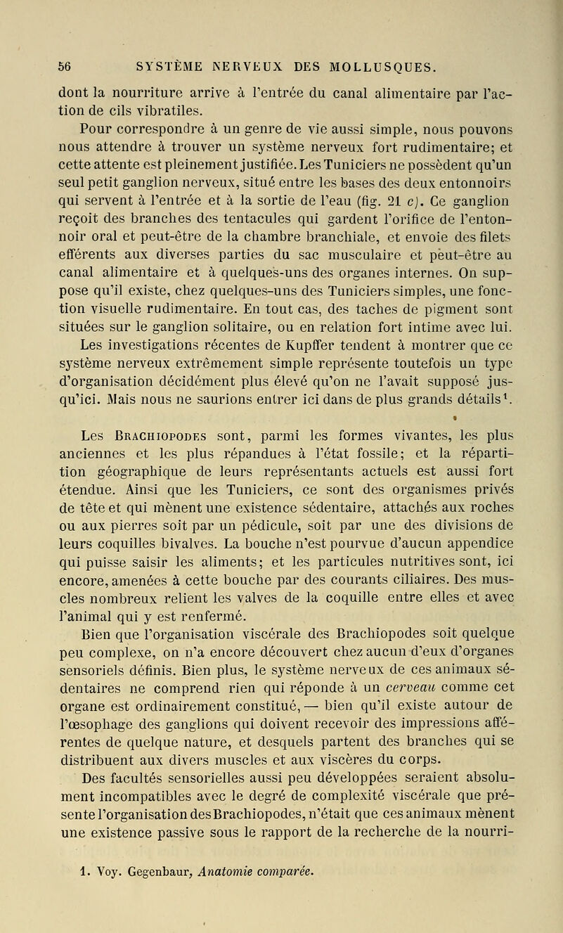 dont la nourriture arrive à rentrée du canal alimentaire par l'ac- tion de cils vibratiles. Pour correspondre à un genre de vie aussi simple, nous pouvons nous attendre à trouver un S3'stème nerveux fort rudimentaire; et cette attente est pleinement justifiée. Les Tuniciers ne possèdent qu'un seul petit ganglion nerveux, situé entre les bases des deux entonnoirs qui servent à l'entrée et à la sortie de l'eau (fig. 21 c). Ce ganglion reçoit des branches des tentacules qui gardent l'orifice de l'enton- noir oral et peut-être de la chambre branchiale, et envoie des filets efférents aux diverses parties du sac musculaire et peut-être au canal alimentaire et à quelques-uns des organes internes. On sup- pose qu'il existe, chez quelques-uns des Tuniciers simples, une fonc- tion visuelle rudimentaire. En tout cas, des taches de pigment sont situées sur le ganglion solitaire, ou en relation fort intime avec lui. Les investigations récentes de Kupfifer tendent à montrer que ce système nerveux extrêmement simple représente toutefois un type d'organisation décidément plus élevé qu'on ne l'avait supposé jus- qu'ici. IMais nous ne saurions entrer ici dans de plus grands détails ^ • Les Brachiopodes sont, parmi les formes vivantes, les plus anciennes et les plus répandues à l'état fossile; et la réparti- tion géographique de leurs représentants actuels est aussi fort étendue. Ainsi que les Tuniciers, ce sont des organismes privés de tête et qui mènent une existence sédentaire, attachés aux roches ou aux pierres soit par un pédicule, soit par une des divisions de leurs coquilles bivalves. La bouche n'est pourvue d'aucun appendice qui puisse saisir les aliments; et les particules nutritives sont, ici encore, amenées à cette bouche par des courants ciliaires. Des mus- cles nombreux relient les valves de la coquille entre elles et avec l'animal qui y est renfermé. Bien que l'organisation viscérale des Brachiopodes soit quelque peu complexe, on n'a encore découvert chez aucun d'eux d'organes sensoriels définis. Bien plus, le système nerveux de ces animaux sé- dentaires ne comprend rien qui réponde à un cerveau comme cet organe est ordinairement constitué, — bien qu'il existe autour de l'œsophage des ganglions qui doivent recevoir des impressions affé- rentes de quelque nature, et desquels partent des branches qui se distribuent aux divers muscles et aux viscères du corps. Des facultés sensorielles aussi peu développées seraient absolu- ment incompatibles avec le degré de complexité viscérale que pré- sente l'organisation des Brachiopodes, n'était que ces animaux mènent une existence passive sous le rapport de la recherche de la nourri- 1. Voy. Gegenbaur, Anatomie comparée.