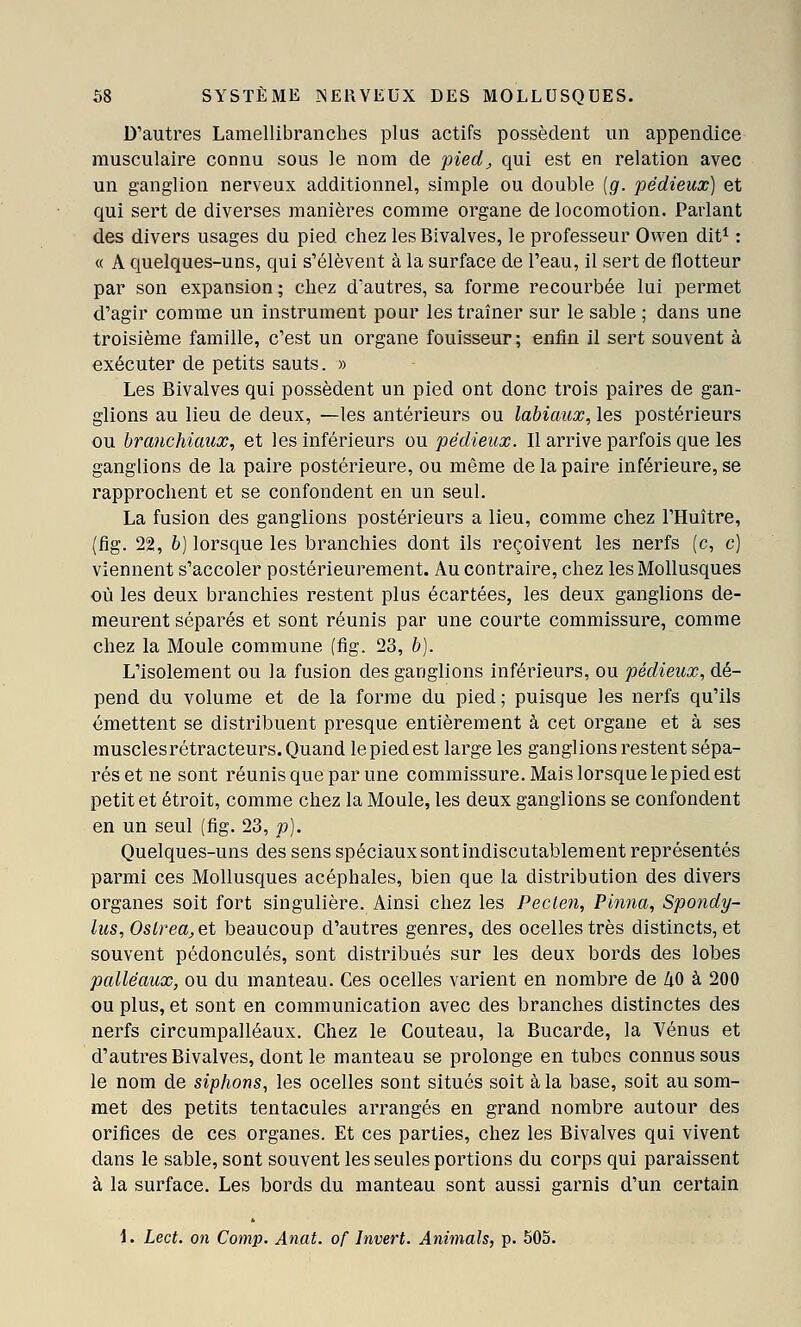D'autres Lamellibranches plus actifs possèdent un appendice musculaire connu sous le nom de pied, qui est en relation avec un ganglion nerveux additionnel, simple ou double [g. pédieux] et qui sert de diverses manières comme organe de locomotion. Parlant des divers usages du pied chez les Bivalves, le professeur Owen dit^ : « A quelques-uns, qui s'élèvent à la surface de l'eau, il sert de flotteur par son expansion ; chez d'autres, sa forme recourbée lui permet d'agir comme un instrument pour les traîner sur le sable ; dans une troisième famille, c'est un organe fouisseur; enfin il sert souvent à exécuter de petits sauts. » Les Bivalves qui possèdent un pied ont donc trois paires de gan- glions au lieu de deux, —les antérieurs ou labiaux, les postérieurs ou branchiaux, et les inférieurs ou pédieux. Il arrive parfois que les ganglions de la paire postérieure, ou même de la paire inférieure, se rapprochent et se confondent en un seul. La fusion des ganglions postérieurs a lieu, comme chez l'Huître, (fig. 22, b) lorsque les branchies dont ils reçoivent les nerfs (c, c) viennent s'accoler postérieurement. Au contraire, chez les Mollusques où les deux branchies restent plus écartées, les deux ganglions de- meurent séparés et sont réunis par une courte commissure, comme chez la Moule commune (fig. 23, b). L'isolement ou la fusion des ganglions inférieurs, ou pédieux, dé- pend du volume et de la forme du pied; puisque les nerfs qu'ils émettent se distribuent presque entièrement à cet organe et à ses muscles rétracteurs. Quand le pied est large les ganglions restent sépa- rés et ne sont réunis que par une commissure. Mais lorsque le pied est petit et étroit, comme chez la Moule, les deux ganglions se confondent en un seul (fig. 23, p). Quelques-uns des sens spéciaux sont indiscutablement représentés parmi ces Mollusques acéphales, bien que la distribution des divers organes soit fort singulière. Ainsi chez les Peclen, Pinna, Spondy- lus, Oslrea.et beaucoup d'autres genres, des ocelles très distincts, et souvent pédoncules, sont distribués sur les deux bords des lobes palléaux, ou du manteau. Ces ocelles varient en nombre de /lO à 200 ou plus, et sont en communication avec des branches distinctes des nerfs circumpalléaux. Chez le Couteau, la Bucarde, la Vénus et d'autres Bivalves, dont le manteau se prolonge en tubes connus sous le nom de siphons, les ocelles sont situés soit à la base, soit au som- met des petits tentacules arrangés en grand nombre autour des orifices de ces organes. Et ces parties, chez les Bivalves qui vivent dans le sable, sont souvent les seules portions du corps qui paraissent à la surface. Les bords du manteau sont aussi garnis d'un certain
