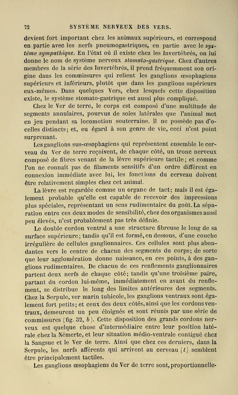 devient fort important chez les animaux supérieurs, et correspond en partie avec les nerfs pneumogastriques, en partie avec le sys- tèine sympathique. En l'état où il existe chez les Invertébrés, on lui donne le nom de système nerveux slomato-gastrique. Chez d'autres membres de la série des Invertébrés, il prend fréquemment son ori- gine dans les commissures qui relient les ganglions œsophagiens supérieurs et inférieurs, plutôt que dans les ganglions supérieurs eux-mêmes. Dans quelques Yers, chez lesquels cette disposition existe, le système stomato-gastrique est aussi plus compliqué. Chez le Ver de terre, le corps est composé d'une multitude de segments annulaires, pourvus de soies latérales que l'animal met en jeu pendant sa locomotion souterraine. 11 ne possède pas d'o- celles distincts; et, eu égard à son genre de vie, ceci n'est point surprenant. Les ganglions sus-œsophagiens qui représentent ensemble le cer- veau du Ver de terre reçoivent, de chaque côté, un tronc nerveux composé de fibres venant de la lèvre supérieure tactile; et comme l'on ne connaît pas de filaments sensitifs d'un ordre différent en connexion immédiate avec lui, les fonctions du cerveau doivent être relativement simples chez cet animal. La lèvre est regardée comme un organe de tact; mais il est éga- lement probable qu'elle est capable de recevoir des impressions plus spéciales, représentant un sens rudimentaire du goût. La sépa- ration entre ces deux modes de sensibilité, chez des organismes aussi peu élevés, n'est probablement pas très définie. Le double cordon ventral a une structure fibreuse le long de sa surface supérieure; tandis qu'il est formé,en dessous, d'une couche irrégulière de cellules ganglionnaires. Ces cellules sont plus abon- dantes vers le centre de chacun des segments du corps; de sorte que leur agglomération donne naissance, en ces points, à des gan- glions rudimentaires. De chacun de ces renflements ganglionnaires partent deux nerfs de chaque côté; tandis qu'une troisième paire, partant du cordon lui-même, immédiatement en avant du renfle- ment, se distribue le long des limites antérieures des segments. Chez la Serpule, ver marin tubicole,les ganglions ventraux sont éga- lement fort petits; et ceux des deux côtés, ainsi que les cordons ven- traux, demeurent un peu éloignés et sont réunis par une série de commissures (fig. 32, b). Cette disposition des grands cordons ner- veux est quelque chose d'intermédiaire entre leur position laté- rale chez la Némerte, et leur situation médio-ventrale contiguë chez la Sangsue et le Ver de terre. Ainsi que chez ces derniers, dans la Serpule, les nerfs afférents qui arrivent au cerveau [t] semblent être principalement tactiles. Les ganglions œsophagiens du Ver de terre sont, proportionnelle-