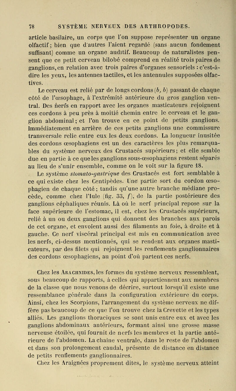 article basilaire, un corps que l'on suppose représenter un organe olfactif; bien que d'autres l'aient regardé (sans aucun fondement suffisant) comme un organe auditif. Beaucoup de naturalistes pen- sent que ce petit cerveau bilobé comprend en réalité trois paires de ganglions, en relation avec trois paires d'organes sensoriels : c'est-à- dire les yeux, les antennes tactiles, et les antennules supposées olfac- tives. Le cerveau est relié par de longs cordons (b, b) passant de chaque côté de l'œsophage, à l'extrémité antérieure du gros ganglion ven- tral. Des nerfs en rapport avec les organes masticateurs rejoignent ces cordons à peu près à moitié chemin entre le cerveau et le gan- glion abdominal ; et l'on trouve en ce point de petits ganglions. Immédiatement en arrière de ces petits ganglions une commissure transversale relie entre eux les deux cordons. La longueur inusitée des cordons œsophagiens est un des caractères les plus remarqua- bles du système nerveux des Crustacés supérieurs ; et elle semble due en partie à ce que les ganglions sous-œsophagiens restent séparés au lieu de s'unir ensemble, comme on le voit sur la figure 18. Le système slomato-gaslrique des Crustacés est fort semblable à ce qui existe chez les Centipèdes. Une partie sort du cordon œso- phagien de chaque côté ; tandis qu'une autre branche médiane pro- cède, comme chez l'Iule (fig. 33, /), de la partie postérieure des ganglions céphaliques réunis. Là où le nerf principal repose sur la face supérieure de l'estomac, il est, chez les Crustacés supérieurs, relié à un ou deux ganglions qui donnent des branches aux parois de cet organe, et envoient aussi des filaments au foie, à droite et à gauche. Ce nerf viscéral principal est mis en communication avec les nerfs, ci-dessus mentionnés, qui se rendent aux organes masti- cateurs, par des filets qui rejoignent les renflements ganglionnaires des cordons œsophagiens, au point d'où partent ces nerfs. Chez les Arachnides, les formes du système nerveux ressemblent, sous beaucoup de rapports, à celles qui appartiennent aux membres de la classe que nous venons de décrire, surtout lorsqu'il existe une ressemblance générale dans la configuration extérieure du corps. Ainsi, chez les Scorpions, l'arrangement du système nerveux ne dif- fère pas beaucoup de ce que l'on trouve chez la Crevette et les types alliés. Les ganglions thoraciques se sont unis entre eux et avec les ganglions abdominaux antérieurs, formant ainsi une grosse masse nerveuse étoilce, qui fournit de nerfs les membres et la partie anté- rieure de l'abdomen. La chaîne ventrale, dans le reste de l'abdomen et dans son prolongement caudal, présente de distance en distance de petits renflements ganglionnaires. Chez les Araignées proprement dites, le système nerveux atteint