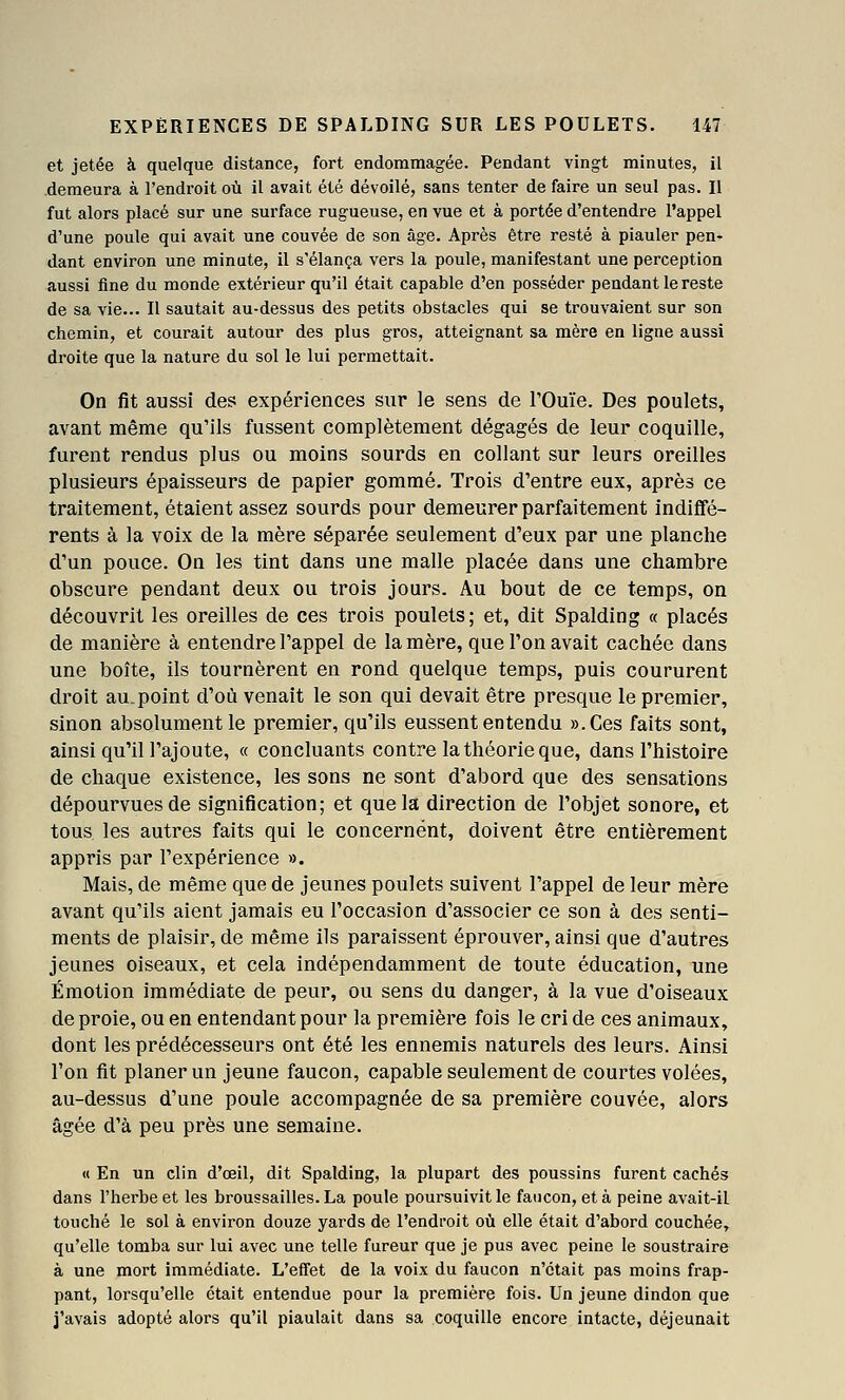 et jetée à quelque distance, fort endommagée. Pendant vingt minutes, il .demeura à l'endroit où il avait été dévoilé, sans tenter de faire un seul pas. Il fut alors placé sur une surface rugueuse, en vue et à portée d'entendre l'appel d'une poule qui avait une couvée de son âge. Après être resté à piauler pen- dant environ une minute, il s'élança vers la poule, manifestant une perception aussi fine du monde extérieur qu'il était capable d'en posséder pendant le reste de sa vie... Il sautait au-dessus des petits obstacles qui se trouvaient sur son chemin, et courait autour des plus gros, atteignant sa mère en ligne aussi droite que la nature du sol le lui permettait. On fit aussi des expériences sur le sens de l'Ouïe. Des poulets, avant même qu'ils fussent complètement dégagés de leur coquille, furent rendus plus ou moins sourds en collant sur leurs oreilles plusieurs épaisseurs de papier gommé. Trois d'entre eux, après ce traitement, étaient assez sourds pour demeurer parfaitement indiffé- rents à la voix de la mère séparée seulement d'eux par une planche d'un pouce. On les tint dans une malle placée dans une chambre obscure pendant deux ou trois jours. Au bout de ce temps, on découvrit les oreilles de ces trois poulets ; et, dit Spalding « placés de manière à entendre l'appel de la mère, que l'on avait cachée dans une boîte, ils tournèrent en rond quelque temps, puis coururent droit au-point d'où venait le son qui devait être presque le premier, sinon absolument le premier, qu'ils eussent entendu «.Ces faits sont, ainsi qu'ill'ajoute, « concluants contre la théorie que, dans l'histoire de chaque existence, les sons ne sont d'abord que des sensations dépourvues de signification; et que la direction de l'objet sonore, et tous les autres faits qui le concernent, doivent être entièrement appris par l'expérience ». Mais, de même que de jeunes poulets suivent l'appel de leur mère avant qu'ils aient jamais eu l'occasion d'associer ce son à des senti- ments de plaisir, de même ils paraissent éprouver, ainsi que d'autres jeunes oiseaux, et cela indépendamment de toute éducation, une Émotion immédiate de peur, ou sens du danger, à la vue d'oiseaux de proie, ou en entendant pour la première fois le cri de ces animaux, dont les prédécesseurs ont été les ennemis naturels des leurs. Ainsi l'on fit planer un jeune faucon, capable seulement de courtes volées, au-dessus d'une poule accompagnée de sa première couvée, alors âgée d'à peu près une semaine. « En un clin d'œil, dit Spalding, la plupart des poussins furent cachés dans l'herbe et les broussailles. La poule poursuivit le faucon, et à peine avait-il touché le sol à environ douze yards de l'endroit où elle était d'abord couchée, qu'elle tomba sur lui avec une telle fureur que je pus avec peine le soustraire à une mort immédiate. L'effet de la voix du faucon n'était pas moins frap- pant, lorsqu'elle était entendue pour la première fois. Un jeune dindon que j'avais adopté alors qu'il piaulait dans sa coquille encore intacte, déjeunait
