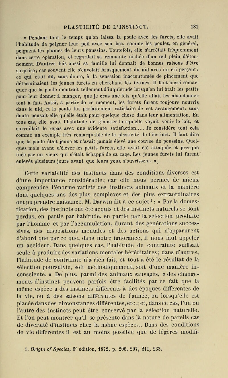 « Pendant tout le temps qu'on laissa la poule avec les furets, elle avait l'habitude de peigner leur poil avec son bec, comme les poules, en général, peignent les plumes de leurs poussins. Toutefois, elle s'arrêtait fréquemment dans cette opération, et regardait sa remuante nichée d'un œil plein d'éton- nement. D'autres fois aussi sa famille lui donnait de bonnes raisons d'être surprise ; car souvent elle s'envolait brusquement du nid avec un cri perçant : ce qui était dû, sans doute, à la sensation inaccoutumée de pincement que déterminaient les jeunes furets en cherchant les tétines. Il faut aussi remar- quer que la poule montrait tellement d'inquiétude lorsqu'on lui ôtait les petits pour leur donner à manger, que je crus une fois qu'elle allait les abandonner tout à fait. Aussi, à partir de ce moment, les furets furent toujours nourris dans le nid, et la poule fut parfaitement satisfaite de cet arrangement ; sans doute pensait-elle qu'elle était pour quelque chose dans leur alimentation. En tous cas, elle avait l'habitude de glousser lorsqu'elle voyait venir le lait, et surveillait le repas avec une évidente satisfaction Je considère tout cela comme un exemple très remarquable de la plasticité de l'instinct. Il faut dire que la poule était jeune et n'avait jamais élevé une couvée de poussins. Quel- ques mois avant d'élever les petits furets, elle avait été attaquée et presque tuée par un vieux qui s'était échappé de sa cage. Les jeunes furets lui furent enlevés plusieurs jours avant que leurs yeux s'ouvrissent. »j Cette variabilité des instincts dans des conditions diverses est d'une importance considérable; car elle nous permet de mieux comprendre l'énorme variété des instincts animaux et la manière dont quelques-uns des plus complexes et des plus extraordinaires ont pu prendre naissance. M. Darwin dit à ce sujet ^ : « Parla domes- tication, des instincts ont été acquis et des instincts naturels se sont perdus, en partie par habitude, en partie par la sélection produite par l'homme et par l'accumulation, durant des générations succes- sives, des dispositions mentales et des actions qui n'apparurent d'abord que par ce que, dans notre ignorance, il nous faut appeler un accident. Dans quelques cas, l'habitude de contrainte suffisait seule à produire des variations mentales héréditaires ; dans d'autres, l'habitude de contrainte n'a rien fait, et tout a été le résultat de la sélection poursuivie, soit méthodiquement, soit d'une manière in- consciente. » De plus, parmi des animaux sauvages, « des change- ments d'instinct peuvent parfois être facilités par ce fait que la même espèce a des instincts différents à des époques différentes de la vie, ou à des saisons différentes de l'année, ou lorsqu'elle est placée dans des circonstances différentes, etc.; et, dans ce cas, l'un ou l'autre des instincts peut être conservé par la sélection naturelle. Et l'on peut montrer qu'il se présente dans la nature de pareils cas de diversité d'instincts chez la même espèce... Dans des conditions de vie différentes il est au moins possible que de légères modifi- 1. Origin of Species, 6 édition, 1872, p. 206, 207, 211, 233.