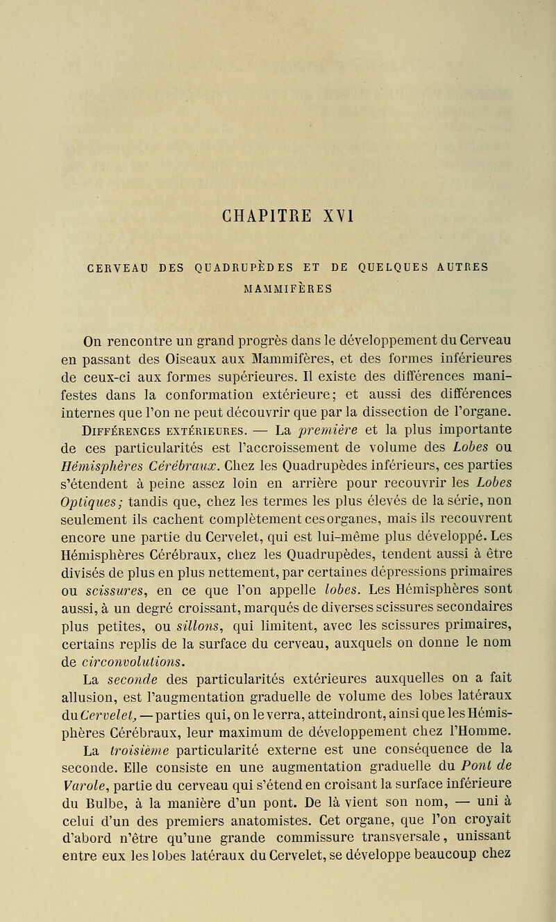 CERVEAU DES QUADRUPÈDES ET DE QUELQUES AUTRES MAMMIFÈRES On rencontre un grand progrès dans le développement du Cerveau en passant des Oiseaux aux Mammifères, et des formes inférieures de ceux-ci aux formes supérieures. Il existe des différences mani- festes dans la conformation extérieure; et aussi des différences internes que l'on ne peut découvrir que par la dissection de l'organe. Différences extérieures. — La première et la plus importante de ces particularités est Paccroissement de volume des Lobes ou Hémisphères Cérébraux. Chez les Quadrupèdes inférieurs, ces parties s'étendent à peine assez loin en arrière pour recouvrir les Lobes Optiques; tandis que, chez les termes les plus élevés de la série, non seulement ils cachent complètement ces organes, mais ils recouvrent encore une partie du Cervelet, qui est lui-même plus développé. Les Hémisphères Cérébraux, chez les Quadrupèdes, tendent aussi à être divisés de plus en plus nettement, par certaines dépressions primaires ou scissures, en ce que l'on appelle lobes. Les Hémisphères sont aussi, à un degré croissant, marqués de diverses scissures secondaires plus petites, ou sillons, qui limitent, avec les scissures primaires, certains replis de la surface du cerveau, auxquels on donne le nom de circonvolutions. La seconde des particularités extérieures auxquelles on a fait allusion, est l'augmentation graduelle de volume des lobes latéraux du 6'e?'ve^e<;, —parties qui, on le verra, atteindront, ainsi que les Hémis- phères Cérébraux, leur maximum de développement chez l'Homme. La troisième particularité externe est une conséquence de la seconde. Elle consiste en une augmentation graduelle du Ponl de Varole, partie du cerveau qui s'étend en croisant la surface inférieure du Bulbe, à la manière d'un pont. De là vient son nom, — uni à celui d'un des premiers anatomistes. Cet organe, que l'on croyait d'abord n'être qu'une grande commissure transversale, unissant entre eux les lobes latéraux du Cervelet, se développe beaucoup chez