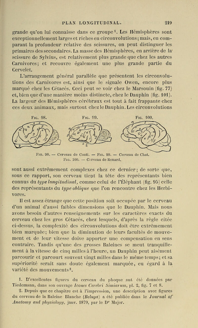 grande qu'on lui connaisse dans ce groupe ^ Les Hémisplières sont exceptionnellement larges et riches en circonvolutions ; mais, en com- parant la profondeur relative des scissures, on peut distinguer les primaires des secondaires. La masse des Hémisphères, en arrière de la' scissure de Sylvius, est relativement plus grande que chez les autres Carnivores; et recouvre également une plus grande partie du Cervelet. L'arrangement général parallèle que présentent les circonvolu- tions des Carnivores est, ainsi que le signale Owen, encore plus marqué chez les Cétacés. Ceci peut se voir chez le Marsouin (fig. 77) et, bien que d'une manière moins distincte, chez le Dauphin (fig. 101). La largeur des Hémisphères cérébraux est tout à fait frappante chez ces deux animaux^ mais surtout chezleDauphin. Les circonvolutions Fig. 100. - Cerveau de Coati. — Fig. 99. — Cerveau de Chat. FiG. 100. — Cerveau de Renard. sont aussi extrêmement complexes chez ce dernier; de sorte que, sous ce rapport, son cerveau tient la tête des représentants bien connus du type longitudinal, comme celui de l'Éléphant (fig. 95) celle des représentants du type oblique que l'on rencontre chez les Herbi- vores. Il est assez étrange que cette position soit occupée par le cerveau d'un animal d'aussi faibles dimensions que le Dauphin. Mais nous avons besoin d'autres renseignements sur les caractères exacts du cerveau chez les gros Cétacés, chez lesquels, d'après la règle citée ci-dessus, la complexité des circonvolutions doit être extrêmement bien marquée; bien que la diminution de leurs facultés de mouve- ment et de leur vitesse doive apporter une compensation en sens contraire. Tandis qu'une des grosses Baleines se meut tranquille- ment à la vitesse de cinq milles à l'heure, un Dauphin peut aisément parcourir et parcourt souvent vingt milles dans le même temps ; et sa supériorité serait sans doute également marquée, eu égard à la variété des mouvements2. 1. D'excellentes figures du cerveau du phoque ont été données par Tiedemann, dans son ouvrage Icônes Cerebri Simiarum, pi. 2, fig. 7 et 8. 2. Depuis que ce chapitre est à l'impression, une description avec figures du cerveau de la Baleine Blanche (Béluga) a été publiée dans le Journal of Anatomy and physiology, janv. 1879, par le D Major.