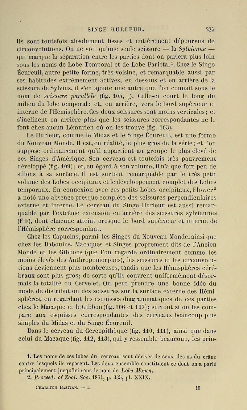 Ils sont toutefois absolument lisses et entièrement dépourvus de circonvolutions. On ne voit qu'une seule scissure — la Sylvienne — qui marque la séparation entre les parties dont on parlera plus loin sous les noms de Lobe Temporal et de Lobe Pariétal^. Chez le Singe Écureuil, autre petite forme, très voisine, et remarquable aussi par ses habitudes extrêmement actives, en dessous et en arrière de la scissure de Sylvius, il s'en ajoute une autre que l'on connaît sous le nom de scissure parallèle (fig. 105, g). Celle-ci court le long du milieu du lobe temporal ; et, en arrière, vers le bord supérieur et interne de l'Hémisphère. Ces deux scissures sont moins verticales ; et s'inclinent en arrière plus que les scissures correspondantes ne le font chez aucun Lémurien où on les trouve (fig. 103). Le Hurleur, comme le Midas et le Singe Écureuil, est une forme du Nouveau Monde. Il est, en réalité, le plus gros de la série; et l'on suppose ordinairement qu'il appartient au groupe le plus élevé de ces Singes d'Amérique. Son cerveau est toutefois très pauvrement développé (fig. 109) ; et, eu égard à son volume, il n'a que fort peu de sillons à sa surface. Il est surtout remarquable par le très petit volume des Lobes occipitaux et le développement complet des Lobes temporaux. En connexion avec ces petits Lobes occipitaux, Flower^ a noté une absence presque complète des scissures perpendiculaires externe et interne. Le cerveau du Singe Hurleur est aussi remar- quable par l'extrême extension en arrière des scissures sylviennes (F F), dont chacune atteint presque le bord supérieur et interne de l'Hémisphère correspondant. Chez les Capucins, parmi les Singes du Nouveau Monde, ainsi que chez les Babouins, Macaques et Singes proprement dits de l'Ancien Monde et les Gibbons (que l'on regarde ordinairement comme les moins élevés des Anthropomorphes), les scissures et les circonvolu- tions deviennent plus nombreuses, tandis que les Hémisphères céré- braux sont plus gros; de sorte qu'ils couvrent uniformément désor- mais la totalité du Cervelet. On peut prendre une bonne idée du mode de distribution des scissures sur la surface externe des Hémi- sphères, en regardant les esquisses diagrammatiques de ces parties chez le Macaque et le Gibbon (fig. 106 et 107); surtout si on les com- pare aux esquisses correspondantes des cerveaux beaucoup plus simples du Midas et du Singe Écureuil. Dans le cerveau du Cercopithèque (fig. 110, 111), ainsi que dans celui du Macaque (fig. 112, 113), qui y ressemble beaucoup, les prin- 1. Les noms de ces lobes du cerveau sont dérivés de ceux des os du crâne contre lesquels ils reposent. Les deux ensemble constituent ce dont on a parlé principalement jusqu'ici sous le nom de Lobe Moyen. 2. Proceed. of Zool. Soc. 1864, p. 335, pi. XXIX. Charlton Bastian. — I. 15