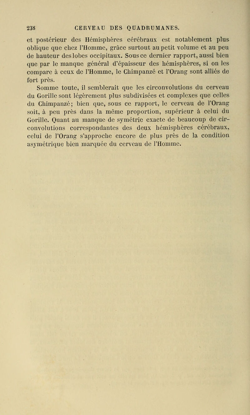 et postérieur des Ilémisplières cérébraux est notablement plus oblique que chez THorame, grâce surtout au petit volume et au peu de hauteur des lobes occipitaux. Sous ce dernier rapport, aussi bien que par le manque général d'épaisseur des hémisphères, si on les compare à ceux de l'Homme, le Chimpanzé et l'Orang sont alliés de fort près. Somme toute, il semblerait que les circonvolutions du cerveau du Gorille sont légèrement plus subdivisées et complexes que celles du Chimpanzé; bien que, sous ce rapport, le cerveau de l'Orang soit, à peu près dans la même proportion, supérieur à celui du Gorille. Quant au manque de symétrie exacte de beaucoup de cir- convolutions correspondantes des deux hémisphères cérébraux, celui de l'Orang s'approche encore de plus près de la condition asymétrique bien marquée du cerveau de l'Homme.