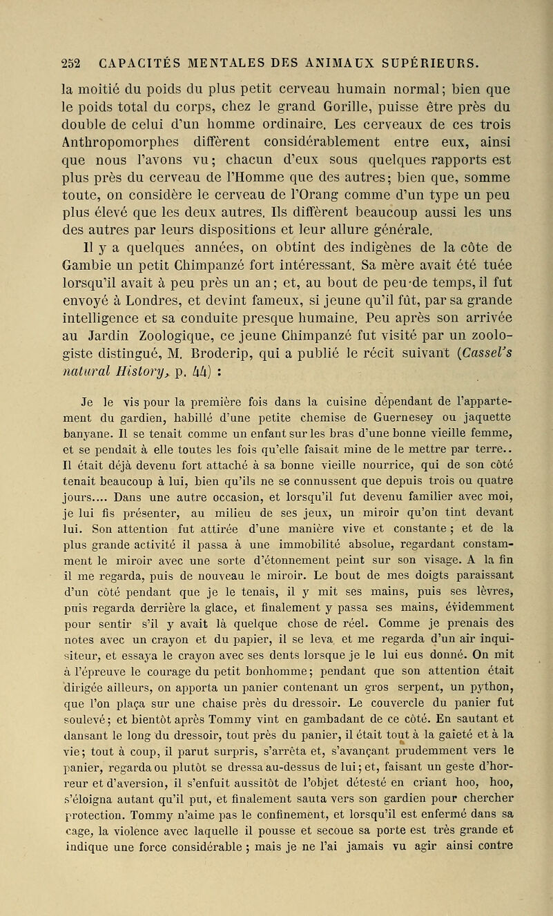 la moitié du poids du plus petit cerveau humain normal; bien que le poids total du corps, chez le grand Gorille, puisse être près du double de celui d'un homme ordinaire. Les cerveaux de ces trois Anthropomorphes diffèrent considérablement entre eux, ainsi que nous l'avons vu ; chacun d'eux sous quelques rapports est plus près du cerveau de l'Homme que des autres; bien que, somme toute, on considère le cerveau de l'Orang comme d'un type un peu plus élevé que les deux autres. Ils diffèrent beaucoup aussi les uns des autres par leurs dispositions et leur allure générale. 11 y a quelques années, on obtint des indigènes de la côte de Gambie un petit Chimpanzé fort intéressant. Sa mère avait été tuée lorsqu'il avait à peu près un an; et, au bout de peu-de temps,il fut envoyé à Londres, et devint fameux, si jeune qu'il fût, par sa grande intelligence et sa conduite presque humaine, Peu après son arrivée au Jardin Zoologique, ce jeune Chimpanzé fut visité par un zoolo- giste distingué, M. Broderip, qui a publié le récit suivant {CasseVs natural History^ p. kk) : Je le vis pour la première fois dans la cuisine dépendant de l'apparte- ment du gardien, habillé d'une petite chemise de Guernesey ou jaquette banyane. Il se tenait comme un enfant sur les bras d'une bonne vieille femme, et se pendait à elle toutes les fois qu'elle faisait mine de le mettre par terre.. Il était déjà devenu fort attaché à sa bonne vieille nourrice, qui de son côté tenait beaucoup à lui, bien qu'ils ne se connussent que depuis trois ou quatre jours.... Dans une autre occasion, et lorsqu'il fut devenu familier avec moi, je lui fis présenter, au milieu de ses jeux, un miroir qu'on tint devant lui. Son attention fut attirée d'une manière vive et constante ; et de la plus grande activité il passa à une immobilité absolue, regardant constam- ment le miroir avec une sorte d'étonnement peint sur son visage. A la fin il me regarda, puis de nouveau le miroir. Le bout de mes doigts paraissant d'un côté pendant que je le tenais, il y mit ses mains, puis ses lèvres, puis regarda derrière la glace, et finalement y passa ses mains, évidemment pour sentir s'il y avait là quelque chose de réel. Comme je prenais des notes avec un crayon et du papier, il se leva, et me regarda d'un air inqui- siteur, et essaya le crayon avec ses dents lorsque je le lui eus donné. On mit à l'épreuve le coui'age du petit bonhomme; pendant que son attention était 'dirigée ailleurs, on apporta un panier contenant un gros serpent, un python, que l'on plaça sur une chaise près du dressoir. Le couvercle du panier fut soulevé ; et bientôt après Tommy vint en gambadant de ce côté. En sautant et dansant le long du dressoir, tout près du panier, il était tout à la gaieté et à la vie; tout à coup, il parut surpris, s'arrêta et, s'avançant prudemment vers le panier, regarda ou plutôt se dressa au-dessus de lui ; et, faisant un geste d'hor- reur et d'aversion, il s'enfuit aussitôt de l'objet détesté en criant hoo, hoo, s'éloigna autant qu'il put, et finalement sauta vers son gardien pour chercher protection. Tommy n'aime pas le confinement, et lorsqu'il est enfermé dans sa cage, la violence avec laquelle il pousse et secoue sa porte est très grande et indique une force considérable ; mais je ne l'ai jamais vu agir ainsi contre