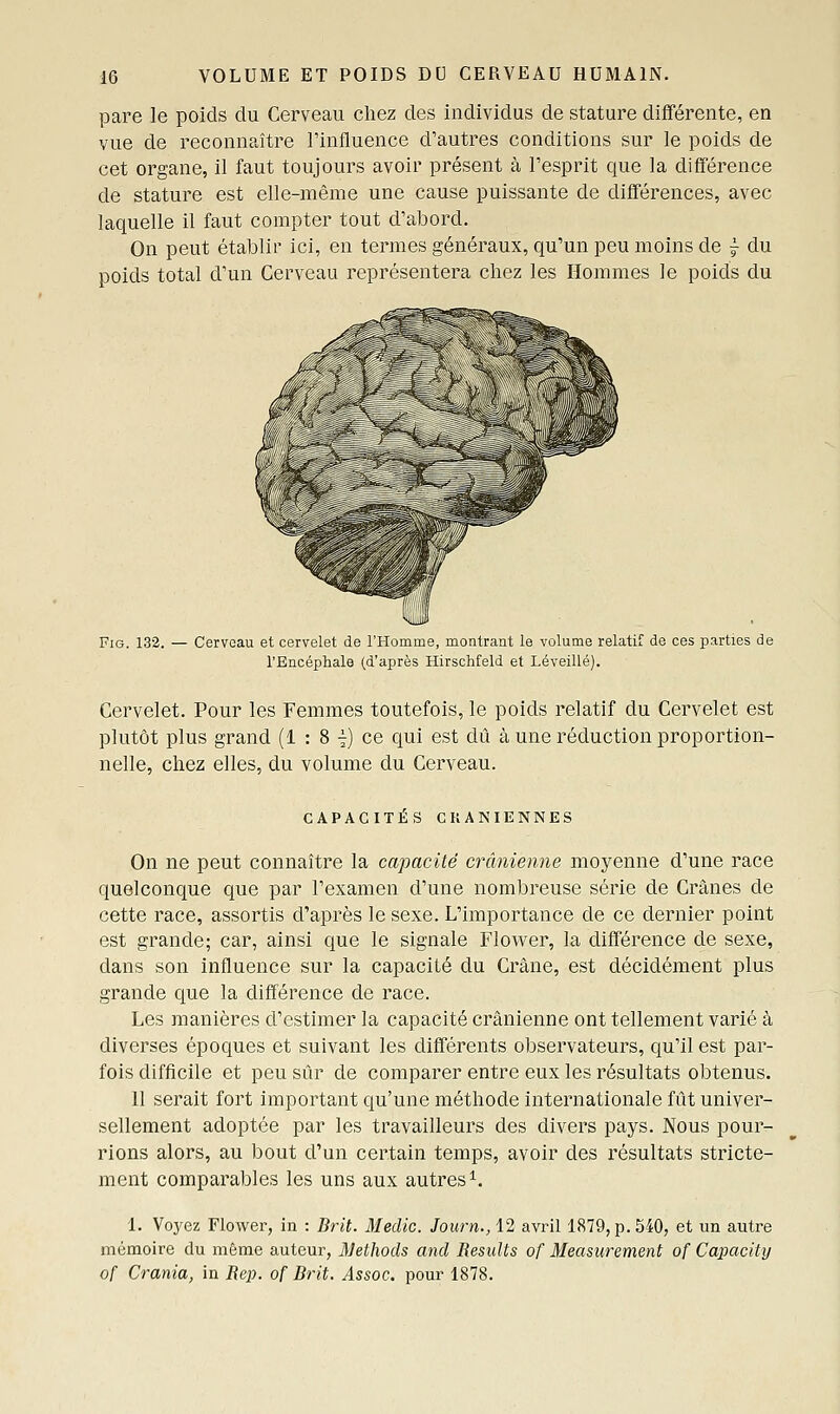 pare le poids du Cerveau chez des individus de stature différente, en vue de reconnaître l'influence d'autres conditions sur le poids de cet organe, il faut toujours avoir présent à l'esprit que la différence de stature est elle-même une cause puissante de différences, avec laquelle il faut compter tout d'abord. On peut établir ici, en termes généraux, qu'un peu moins de ^ du poids total d'un Cerveau représentera chez les Hommes le poids du FiG. 132. — Cerveau et cervelet de l'Homme, montrant le volume relatif de ces parties de l'Encéphale (d'après Hirschfeld et Léveillé). Cervelet. Pour les Femmes toutefois, le poids relatif du Cervelet est plutôt plus grand (1 : 8 i) ce qui est dû à une réduction proportion- nelle, chez elles, du volume du Cerveau. CAPACITES CKANIENNES On ne peut connaître la capacité crânienne moyenne d'une race quelconque que par l'examen d'une nombreuse série de Crânes de cette race, assortis d'après le sexe. L'importance de ce dernier point est grande; car, ainsi que le signale Flower, la différence de sexe, dans son influence sur la capacité du Crâne, est décidément plus grande que la différence de race. Les manières d'estimer la capacité crânienne ont tellement varié à diverses époques et suivant les différents observateurs, qu'il est par- fois difficile et peu sûr de comparer entre eux les résultats obtenus. 11 serait fort important qu'une méthode internationale fût univer- sellement adoptée par les travailleurs des divers pays. Nous pour- rions alors, au bout d'un certain temps, avoir des résultats stricte- ment comparables les uns aux autres^. 1. Voyez Flower, in : Brit. Meclic. Journ., 12 avril 1879, p. 540, et un autre mémoire du même auteur, ISlethods and Residts of Measurement of Capacity of Crania, in Rep. of Brit. Assoc. pour 1878.