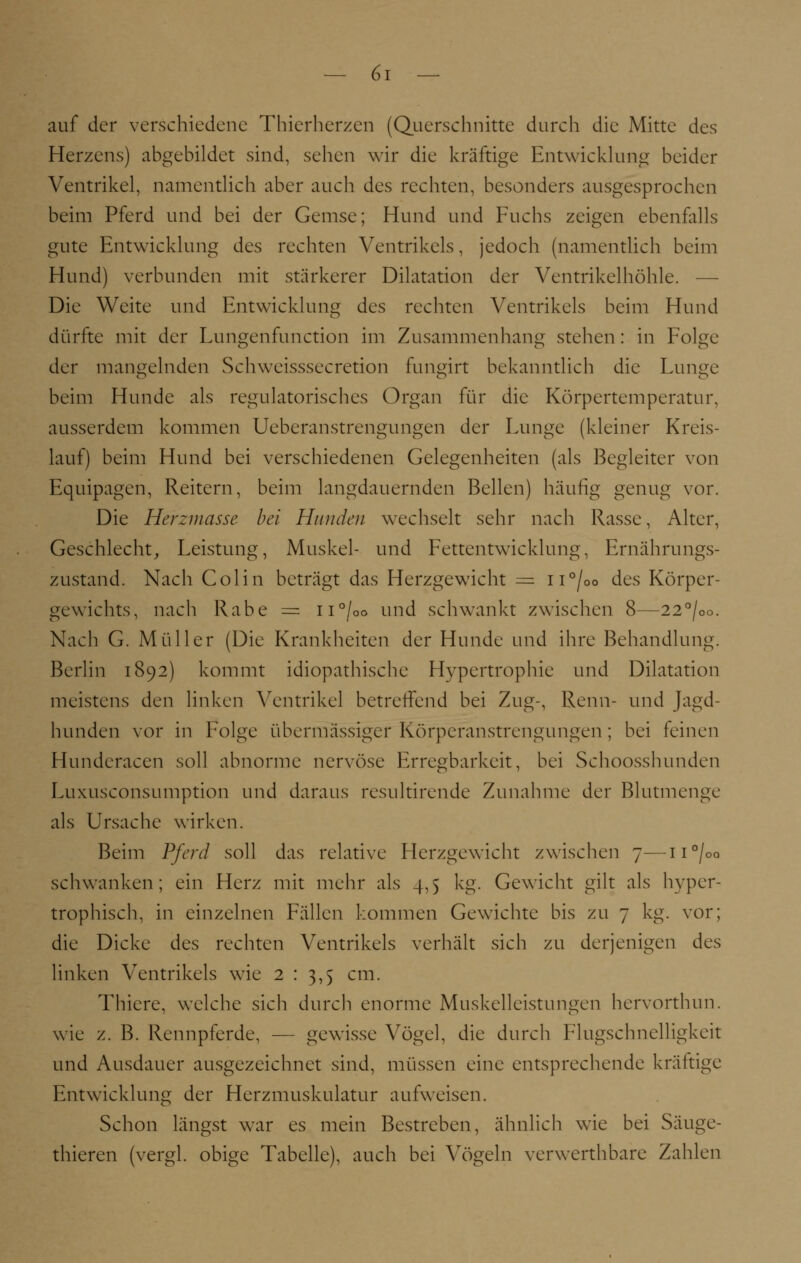 auf der verschiedene Thierherzen (Querschnitte durch die Mitte des Herzens) abgebildet sind, sehen wir die kräftige Entwicklung beider Ventrikel, namentlich aber auch des rechten, besonders ausgesprochen beim Pferd und bei der Gemse; Hund und Fuchs zeigen ebenfalls gute Entwicklung des rechten Ventrikels, jedoch (namentlich beim Hund) verbunden mit stärkerer Dilatation der Ventrikelhöhle. — Die Weite und Entwicklung des rechten Ventrikels beim Hund dürfte mit der Lungenfunction im Zusammenhang stehen : in Folge der mangelnden Schweisssecretion fungirt bekanntlich die Lunge beim Hunde als regulatorisches Organ für die Körpertemperatur, ausserdem kommen Ueberanstrengungen der Lunge (kleiner Kreis- lauf) beim Hund bei verschiedenen Gelegenheiten (als Begleiter von Equipagen, Reitern, beim langdauernden Bellen) häufig genug vor. Die Herzmasse bei Hunden wechselt sehr nach Rasse, Alter, Geschlecht, Leistung, Muskel- und Fettentwicklung, Ernährungs- zustand. Nach Colin beträgt das Herzgewicht = n°/oo des Körper- gewichts, nach Rabe = n°/0o und schwankt zwischen 8—22°/oo. Nach G. Müller (Die Krankheiten der Hunde und ihre Behandlung. Berlin 1892) kommt idiopathische Hypertrophie und Dilatation meistens den linken Ventrikel betreffend bei Zug-, Renn- und Jagd- hunden vor in Folge übermässiger Körperanstrengungen ; bei feinen Hunderacen soll abnorme nervöse Erregbarkeit, bei Schoosshunden Luxusconsumption und daraus resultirende Zunahme der Blutmenge als Ursache wirken. Beim Pferd soll das relative FIcrzgewicht zwischen 7—n°/oo schwanken; ein Herz mit mehr als 4,5 kg. Gewicht gilt als hyper- trophisch, in einzelnen Fällen kommen Gewichte bis zu 7 kg. vor; die Dicke des rechten Ventrikels verhält sich zu derjenigen des linken Ventrikels wie 2 : 3,5 cm. Thiere, welche sich durch enorme Muskelleistungen hervorthun. wie z. B. Rennpferde, — gewisse Vögel, die durch Flugschnelligkeit und Ausdauer ausgezeichnet sind, müssen eine entsprechende kräftige Entwicklung der Herzmuskulatur aufweisen. Schon längst war es mein Bestreben, ähnlich wie bei Säuge- thieren (vergl. obige Tabelle), auch bei Vögeln verwerthbare Zahlen