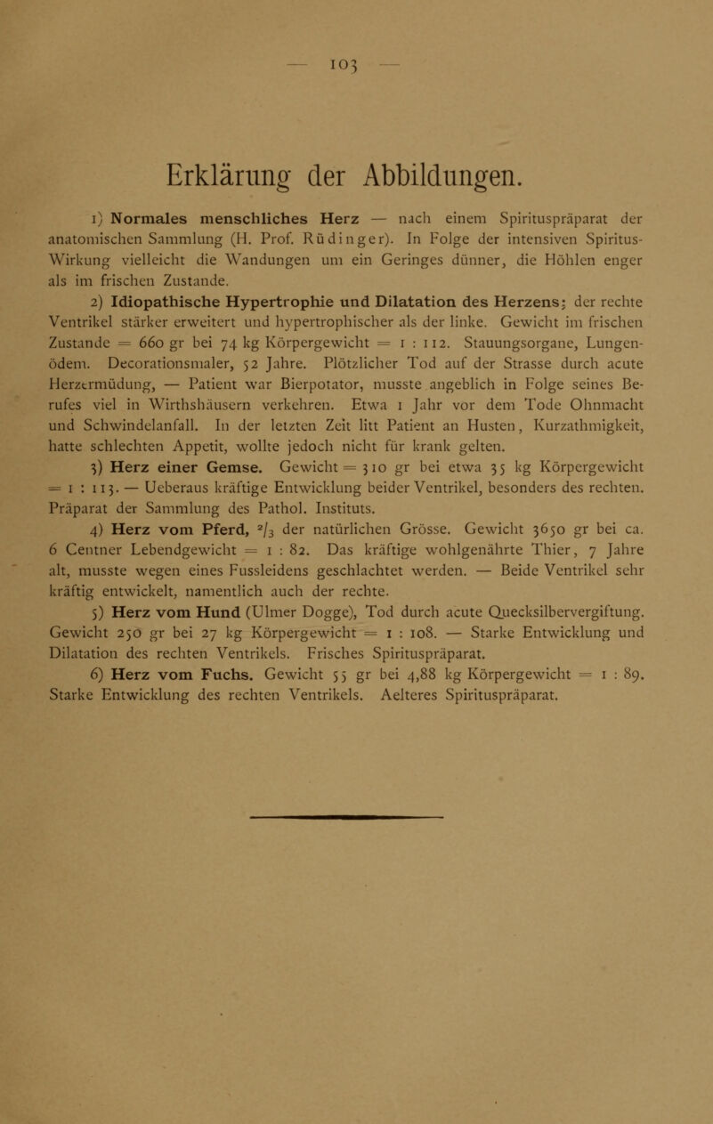 03 Erklärung der Abbildungen. i) Normales menschliches Herz — nach einem Spirituspräparat der anatomischen Sammlung (H. Prof. Rüdinger). In Folge der intensiven Spiritus- Wirkung vielleicht die Wandungen um ein Geringes dünner, die Höhlen enger als im frischen Zustande. 2) Idiopathische Hypertrophie und Dilatation des Herzens: der rechte Ventrikel stärker erweitert und hypertrophischer als der linke. Gewicht im frischen Zustande = 660 gr bei 74 kg Körpergewicht = 1 : 112. Stauungsorgane, Lungen- ödem. Decorationsmaler, 52 Jahre. Plötzlicher Tod auf der Strasse durch acute Herztrmüdung, — Patient war Bierpotator, musste angeblich in Folge seines Be- rufes viel in Wirthshäusern verkehren. Etwa 1 Jahr vor dem Tode Ohnmacht und Schwindelanfall. In der letzten Zeit litt Patient an Husten, Kurzathmigkeit, hatte schlechten Appetit, wollte jedoch nicht für krank gelten. 3) Herz einer Gemse. Gewicht = 310 gr bei etwa 35 kg Körpergewicht = 1 : 113. — Ueberaus kräftige Entwicklung beider Ventrikel, besonders des rechten. Präparat der Sammlung des Pathol. Instituts. 4) Herz vom Pferd, 2/3 der natürlichen Grösse. Gewicht 3650 gr bei ca. 6 Centner Lebendgewicht = 1 : 82. Das kräftige wohlgenährte Thier, 7 Jahre alt, musste wegen eines Fussleidens geschlachtet werden. — Beide Ventrikel sehr kräftig entwickelt, namentlich auch der rechte. 5) Herz vom Hund (Ulmer Dogge), Tod durch acute Quecksilbervergiftung. Gewicht 250 gr bei 27 kg Körpergewicht = 1 : 108. — Starke Entwicklung und Dilatation des rechten Ventrikels. Frisches Spirituspräparat. 6) Herz vom Fuchs. Gewicht 55 gr bei 4,88 kg Körpergewicht = 1 : 89. Starke Entwicklung des rechten Ventrikels. Aelteres Spirituspräparat.