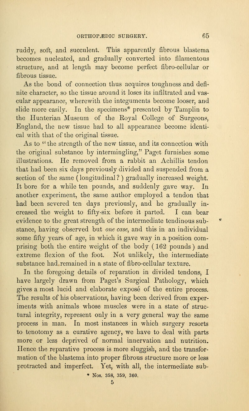 ruddy, soft, and succulent. This apparently fibrous blastema becomes nucleated, and gradually converted into filamentous structure, and at length may become perfect fibro-cellular or fibrous tissue. As the bond of connection thus acquires toughness and defi- nite character, so the tissue around it loses its infiltrated and vas- cular appearance, wherewith the integuments become looser, and slide more easily. In the specimens* presented by Tamplin to the Hunterian Museum of the Royal College of Surgeons, England, the new tissue had to all appearance become identi- cal with that of the original tissue. As to the strength of the new tissue, and its connection with the original substance by intermingling, Paget furnishes some illustrations. He removed from a rabbit an Achillis tendon that had been six days previously divided and suspended from a section of the same (longitudinal ?) gradually increased weight. It bore for a while ten pounds, and suddenly gave way. In another experiment, the same author employed a tendon that had been severed ten days previously, and he gradually in- creased the weight to fifty-six before it parted. I can bear evidence to the great strength of the intermediate tendinous sub- stance, having observed but one case, and this in an individual some fifty years of age, in which it gave way in a position com- prising both the entire weight of the body (162 pounds) and extreme flexion of the foot. Not unlikely, the intermediate substance had.remained in a state of fibro-cellular texture. In the foregoing details of reparation in divided tendons, I have largely drawn from Paget's Surgical Pathology, which gives a most lucid and elaborate expose of the entire process. The results of his observations, having been derived from exper- iments with animals whose muscles were in a state of struc- tural integrity, represent only in a very general way the same process in man. In most instances in which surgery resorts to tenotomy as a curative agency, we have to deal with parts more or less deprived of normal innervation and nutrition. Hence the reparative process is more sluggish, and the transfor- mation of the blastema into proper fibrous structure more or less protracted and imperfect. Yet, with all, the intermediate sub- * Nos. 358, 359, 360. 5