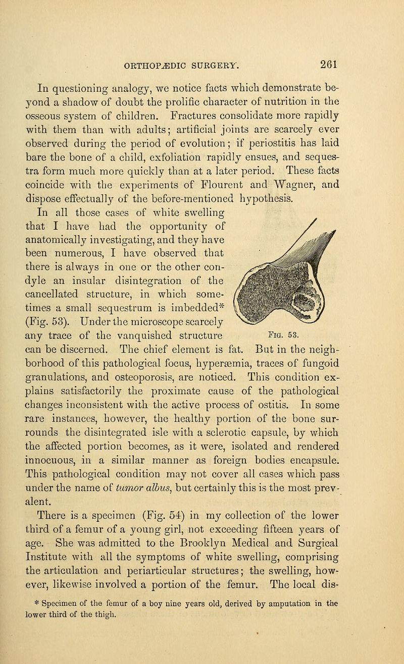 In questioning analogy, we notice facts which demonstrate be- yond a shadow of doubt the prolific character of nutrition in the osseous system of children. Fractures consolidate more rapidly with them than with adults; artificial joints are scarcely ever observed during the period of evolution; if periostitis has laid bare the bone of a child, exfoliation rapidly ensues, and seques- tra form much more quickly than at a later period. These facts coincide with the experiments of Flourent and Wagner, and dispose effectually of the before-mentioned hypothesis. In all those cases of white swelling that I have had the opportunity of anatomically investigating, and they have been numerous, I have observed that there is always in one or the other con- dyle an insular disintegration of the cancellated structure, in which some- times a small sequestrum is imbedded* (Fig. 53). Under the microscope scarcely any trace of the vanquished structure Fig. 53. can be discerned. The chief element is fat. But in the neigh- borhood of this pathological focus, hyperemia, traces of fungoid granulations, and osteoporosis, are noticed. This condition ex- plains satisfactorily the proximate cause of the pathological changes inconsistent with the active process of ostitis. In some rare instances, however, the healthy portion of the bone sur- rounds the disintegrated isle with a sclerotic capsule, by which the affected portion becomes, as it were, isolated and rendered innocuous, in a similar manner as foreign bodies encapsule. This pathological condition may not cover all cases which pass under the name of tumor albus, but certainly this is the most prev- alent. There is a specimen (Fig. 54) in my collection of the lower third of a femur of a young girl, not exceeding fifteen years of age. She was admitted to the Brooktyn Medical and Surgical Institute with all the symptoms of white swelling, comprising the articulation and periarticular structures; the swelling, how- ever, likewise involved a portion of the femur. The local dis- * Specimen of the femur of a boy nine years old, derived by amputation in the lower third of the thigh.