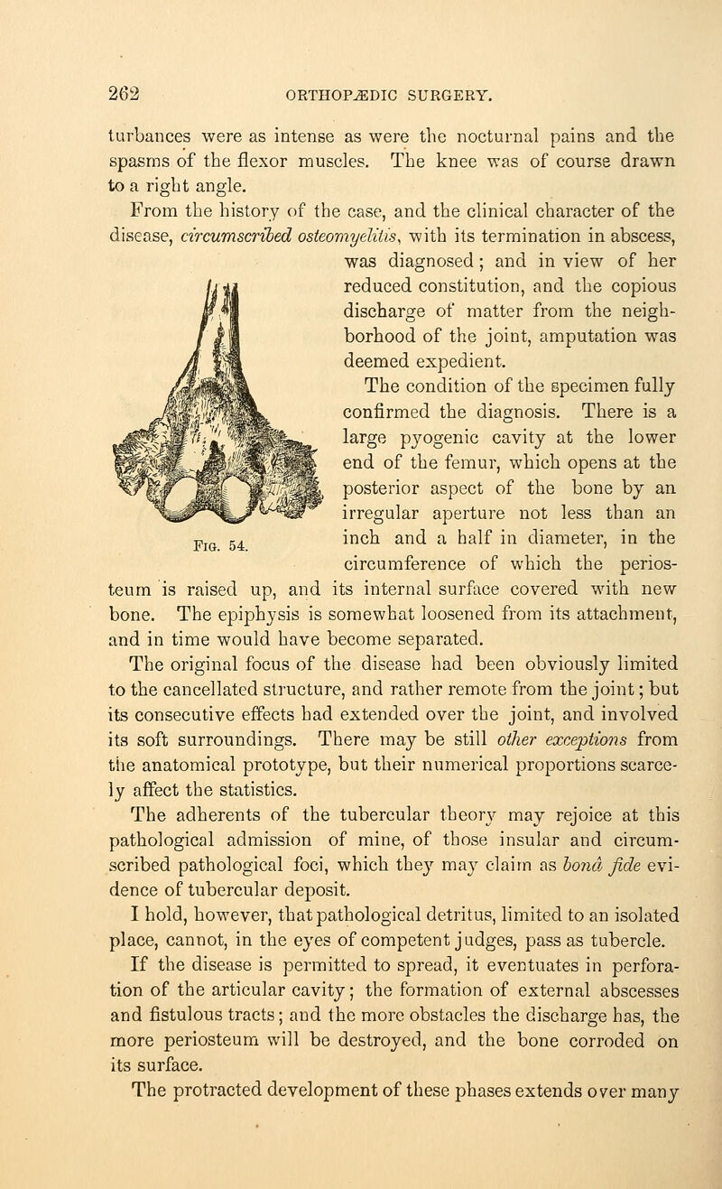 Fig. 54. turbances were as intense as were the nocturnal pains and the spasms of the flexor muscles. The knee was of course drawn to a right angle. From the history of the case, and the clinical character of the disease, circumscribed osteomyelitis, with its termination in abscess, was diagnosed; and in view of her reduced constitution, and the copious discharge of matter from the neigh- borhood of the joint, amputation was deemed expedient. The condition of the specimen fully confirmed the diagnosis. There is a large pyogenic cavity at the lower end of the femur, which opens at the posterior aspect of the bone by an irregular aperture, not less than an inch and a half in diameter, in the circumference of which the perios- teum is raised up, and its internal surface covered with new bone. The epiphysis is somewhat loosened from its attachment, and in time would have become separated. The original focus of the disease had been obviously limited to the cancellated structure, and rather remote from the joint; but its consecutive effects had extended over the joint, and involved its soft surroundings. There may be still other exceptions from the anatomical prototype, but their numerical proportions scarce- ly affect the statistics. The adherents of the tubercular theory may rejoice at this pathological admission of mine, of those insular and circum- scribed pathological foci, which they may claim as bond fide evi- dence of tubercular deposit. I hold, however, that pathological detritus, limited to an isolated place, cannot, in the eyes of competent judges, pass as tubercle. If the disease is permitted to spread, it eventuates in perfora- tion of the articular cavity; the formation of external abscesses and fistulous tracts; and the more obstacles the discharge has, the more periosteum will be destroyed, and the bone corroded on its surface. The protracted development of these phases extends over many