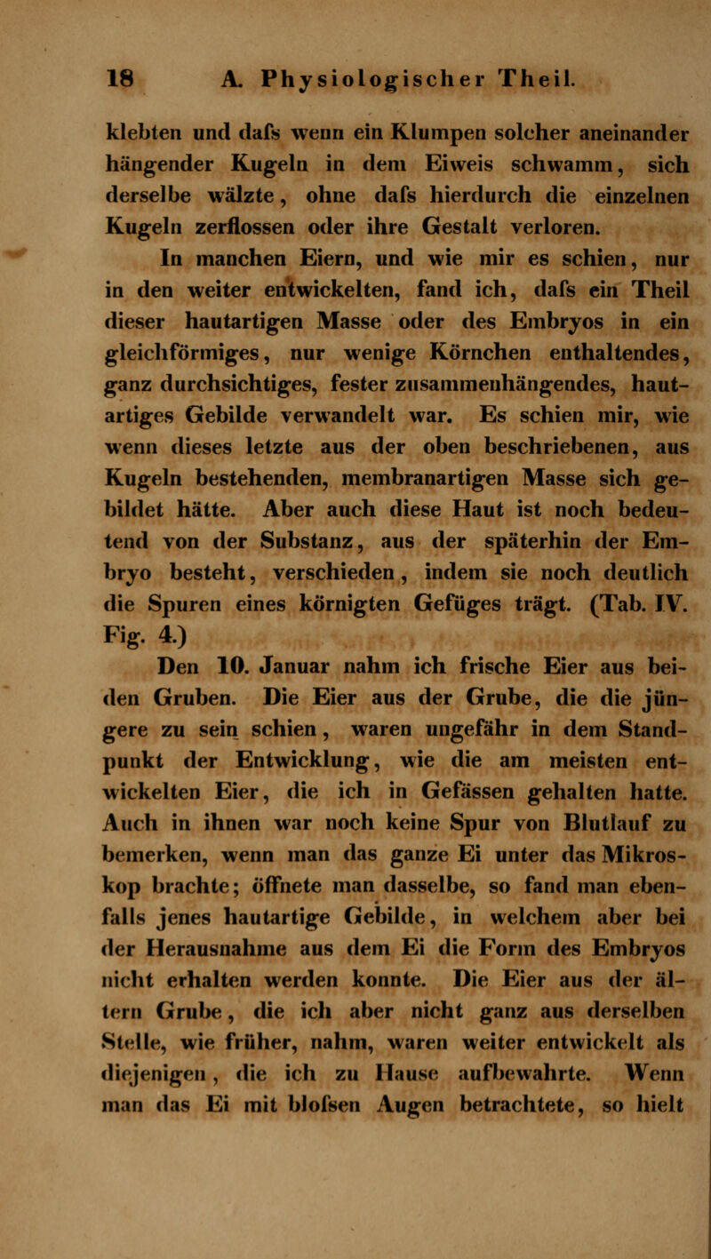 klebten und dafs wenn ein Klumpen solcher aneinander hängender Kugeln in dem Eivveis schwamm, sich derselbe wälzte, ohne dafs hierdurch die einzelnen Kugeln zerflossen oder ihre Gestalt verloren. In manchen Eiern, und wie mir es schien, nur in den weiter entwickelten, fand ich, dafs ein Theil dieser hautartigen Masse oder des Embryos in ein gleichförmiges, nur wenige Körnchen enthaltendes, ganz durchsichtiges, fester zusammenhängendes, haut- artiges Gebilde verwandelt war. Es schien mir, wie wenn dieses letzte aus der oben beschriebenen, aus Kugeln bestehenden, membranartigen Masse sich ge- bildet hätte. Aber auch diese Haut ist noch bedeu- tend von der Substanz, aus der späterhin der Em- bryo besteht, verschieden, indem sie noch deutlich die Spuren eines körnigten Gefüges trägt. (Tab. IV. Fig. 4.) Den 10. Januar nahm ich frische Eier aus bei- den Gruben. Die Eier aus der Grube, die die jün- gere zu sein schien, waren ungefähr in dem Stand- punkt der Entwicklung, wie die am meisten ent- wickelten Eier, die ich in Gefässen gehalten hatte. Auch in ihnen war noch keine Spur von Blutlauf zu bemerken, wenn man das ganze Ei unter das Mikros- kop brachte; öffnete man dasselbe, so fand man eben- falls jenes hautartige Gebilde, in welchem aber bei der Herausnahme aus dem Ei die Form des Embryos nicht erhalten werden konnte. Die Eier aus der al- tern Grube, die ich aber nicht ganz aus derselben Stelle, wie früher, nahm, waren weiter entwickelt als diejenigen, die ich zu Hause aufbewahrte. Wenn man das Ei mit blofsen Augen betrachtete, so hielt