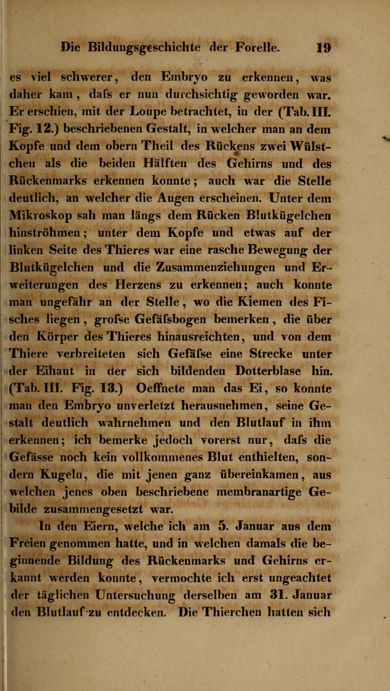 es viel schwerer, den Embryo zu erkennen, was daher kam , dafs er nun durchsichtig geworden war. Er erschien, mit der Loupe betrachtet, in der (Tab. III. Fig. 12.) beschriebenen Gestalt, in welcher man an dem Kopfe und dem obern Theil des Rückens zwei Wülst- chen als die beiden Hälften des Gehirns und des Rückenmarks erkennen konnte; auch war die Stelle deutlich, an welcher die Augen erscheinen. Unter dem Mikroskop sah man längs dem Rücken Blutkügelchen hinströhmen; unter dem Kopfe und etwas auf der linken Seite des Thieres war eine rasche Bewegung der Blutkügelchen und die Zusammenziehungen und Er- weiterungen des Herzens zu erkennen; auch konnte man ungefähr an der Stelle, wo die Kiemen des Fi- sches liegen , grofse Geföfsbogen bemerken, die über den Körper des Thieres hinausreichten, und von dem Thiere verbreiteten sich Geföfse eine Strecke unter der Eihaut in der sich bildenden Dotterblase hin. (Tab. III. Fig. 13.) OefFnete man das Ei, so konnte man den Embryo unverletzt herausnehmen, seine Ge- stalt deutlich wahrnehmen und den Blutlauf in ihm erkennen; ich bemerke jedoch vorerst nur, dafs die Gefässe noch kein vollkommenes Blut enthielten, son- dern Kugeln, die mit jenen ganz übereinkamen, aus welchen jenes oben beschriebene membranartige Ge- bilde zusammengesetzt war. In den Eiern, welche ich am 5. Januar aus dem Freien genommen hatte, und in welchen damals die be- ginnende Bildung des Rückenmarks und Gehirns er- kannt werden konnte, vermochte ich erst ungeachtet der täglichen Untersuchung derselben am 31. Januar den Blutlauf zu entdecken. Die Thierchen hatten sich