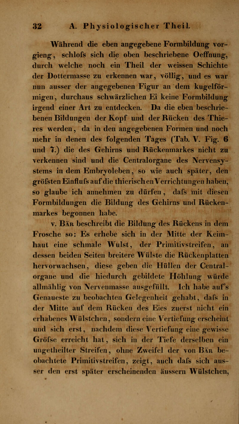 Während die eben angegebene Formbildung vor- gieng, schlofs sich die oben beschriebene OefFnung, durch welche noch ein Theil der weissen Schichte der Dottermasse zu erkennen war, völlig, und es w^ar nun ausser der angegebenen Figur an dem kugelför- migen, durchaus schwärzlichen Ei keine Formbiklung irgend einer Art zu entdecken. Da die eben beschrie- benen Bildungen der Kopf und der Rücken des Thie- res w erden, da in den angegebenen Formen und noch mehr in denen des folgenden Tages (Tab. V. Fig. 6 und 7.) die des Gehirns und Rückenmarkes nicht zu verkennen sind und die Centralorgane des Nervensy- stems in dem Embryoleben, so wie auch später, den gröfstenEinflufs auf die thierischen Verrichtungen haben, so glaube ich annehmen zu dürfen , dafs mit diesen Formbildungen die Bildung des Gehirns und Rücken- markes begonnen habe. V. Bär beschreibt die Bildung des Rückens in dem Frosche so: Es erhebe sich in der Mitte der Keim- haut eine schmale Wulst, der Primitivstreifen, an dessen beiden Seiten breitere Wülste die Rückenplatten hervorwachsen, diese geben die Hüllen der Central- organe und die hiedurch gebildete Höhlung würde alhnählig von Nervenmasse ausgefüllt. Ich habe auf's Genaueste zu beobachten Gelegenheit gehabt, dafs in der Mitte auf dem Rücken des Eies zuerst nicht ein erhabenes Wülstchen, sondern eine Vertiefung erscheint und sich erst, nachdem diese Vertiefung eine gewisse Gröfse erreicht hat, sich in der Tiefe derselben ein ungetheilter Streifen, ohne Zweifel der von Bär be- obachtete Primitivstreifen, zeigt, auch dafs sich aus- ser den erst später erscheinenden äussern Wülstchen,