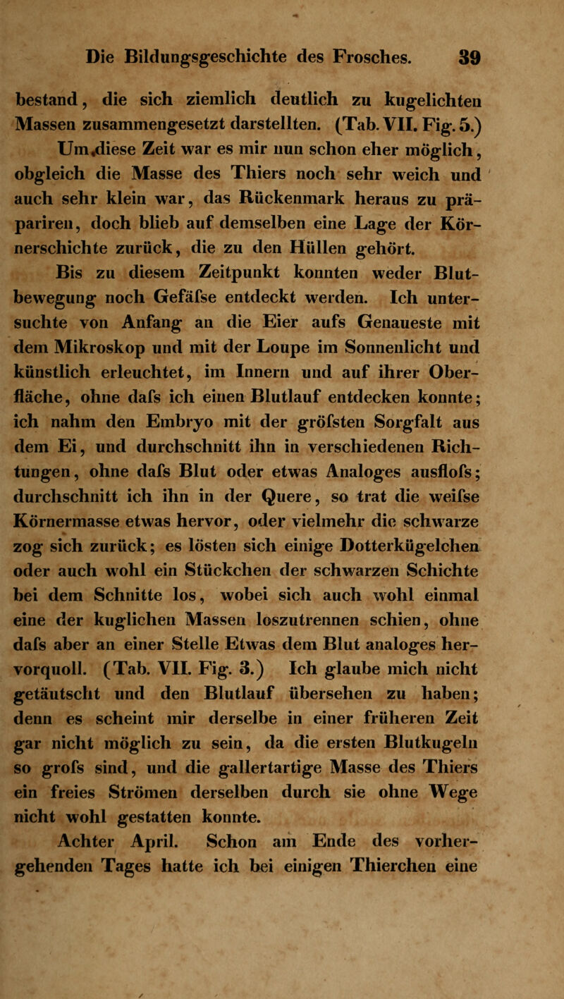 bestand 5 die sich ziemlich deutlich zu kugelichteu Massen zusammengesetzt darstellten. (Tab. VII. Fig. 5.) Um^iese Zeit war es mir nun schon eher möglich, obgleich die Masse des Thiers noch sehr weich und auch sehr klein war, das Rückenmark heraus zu prä- pariren, doch blieb auf demselben eine Lage der Kör- nerschichte zurück, die zu den Hüllen gehört. Bis zu diesem Zeitpunkt konnten weder Blut- bewegung noch Gefäfse entdeckt werden. Ich unter- suchte von Anfang an die Eier aufs Genaueste mit dem Mikroskop und mit der Loupe im Sonnenlicht und künstlich erleuchtet, im Innern und auf ihrer Ober- fläche , ohne dafs ich einen Blutlauf entdecken konnte; ich nahm den Embryo mit der gröfsten Sorgfalt aus dem Ei, und durchschnitt ihn in verschiedenen Rich- tungen, ohne dafs Blut oder etwas Analoges ausflofs; durchschnitt ich ihn in der Quere, so trat die weifse Körnermasse etwas hervor, oder vielmehr die schwarze zog sich zurück; es lösten sich einige Dotterkügelcheu oder auch wohl ein Stückchen der schwarzen Schichte bei dem Schnitte los, wobei sich auch wohl einmal eine der kuglichen Massen loszutrennen schien, ohne dafs aber an einer Stelle Etwas dem Blut analoges her- vorquoll. (Tab. VII. Fig. 3.) Ich glaube mich nicht getäutscht und den Blutlauf übersehen zu haben; denn es scheint mir derselbe in einer früheren Zeit gar nicht möglich zu sein, da die ersten Blutkugeln so grofs sind, und die gallertartige Masse des Thiers ein freies Strömen derselben durch sie ohne Wege nicht wohl gestatten konnte. Achter April. Schon am Ende des vorher- gehenden Tages hatte ich bei einigen Thierchen eine