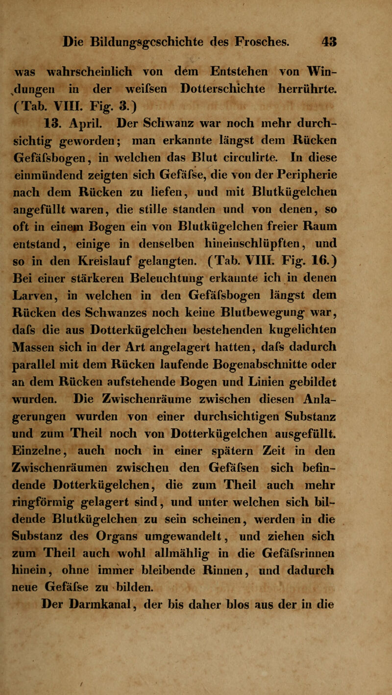 was wahrscheinlich von dem Entstehen von Win- ^dungen in der weifsen Dotterschichte herrührte. (Tab. VIII. Fig. 3.) 13. April. Der Schwanz war noch mehr durch- sichtig geworden; man erkannte längst dem Rücken Gefäfsbogen, in welchen das Blut circulirte. In diese einmündend zeigten sich Gefäfse, die von der Peripherie nach dem Rücken zu liefen, und mit Blutkügelchen angefüllt waren, die stille standen und von denen, so oft in einem Bogen ein von Blutkügelchen freier Raum entstand, einige in denselben hineinschlüpften, und so in den Kreislauf gelangten. (Tab. VIII. Fig. 16.) Bei einer stärkeren Beleuchtung erkannte ich in denen Larven, in welchen in den Gefäfsbogen längst dem Rücken des Schwanzes noch keine Blutbewegung war, dafs die aus Dotterkügelchen bestehenden kugelichten Massen sich in der Art angelagert hatten, dafs dadurch parallel mit dem Rücken laufende Bogenabschnitte oder an dem Rücken aufstehende Bogen und Linien gebildet wurden. Die Zwischenräume zwischen diesen Anla- gerungen wurden von einer durchsichtigen Substanz und zum Theil noch von Dotterkügelchen ausgefüllt. Einzelne, auch noch in einer spätem Zeit in den Zwischenräumen zwischen den Gefafsen sich befin- dende Dotterkügelchen, die zum Theil auch mehr ringförmig gelagert sind, und unter welchen sich bil- dende Blutkügelchen zu sein scheinen, werden in die Substanz des Organs umgewandelt, und ziehen sich zum Theil auch wohl allmählig in die Gefäfsrinnen hinein, ohne immer bleibende Rinnen, und dadurch neue Gefäfse zu bilden. Der Darmkanal, der bis daher blos aus der in die