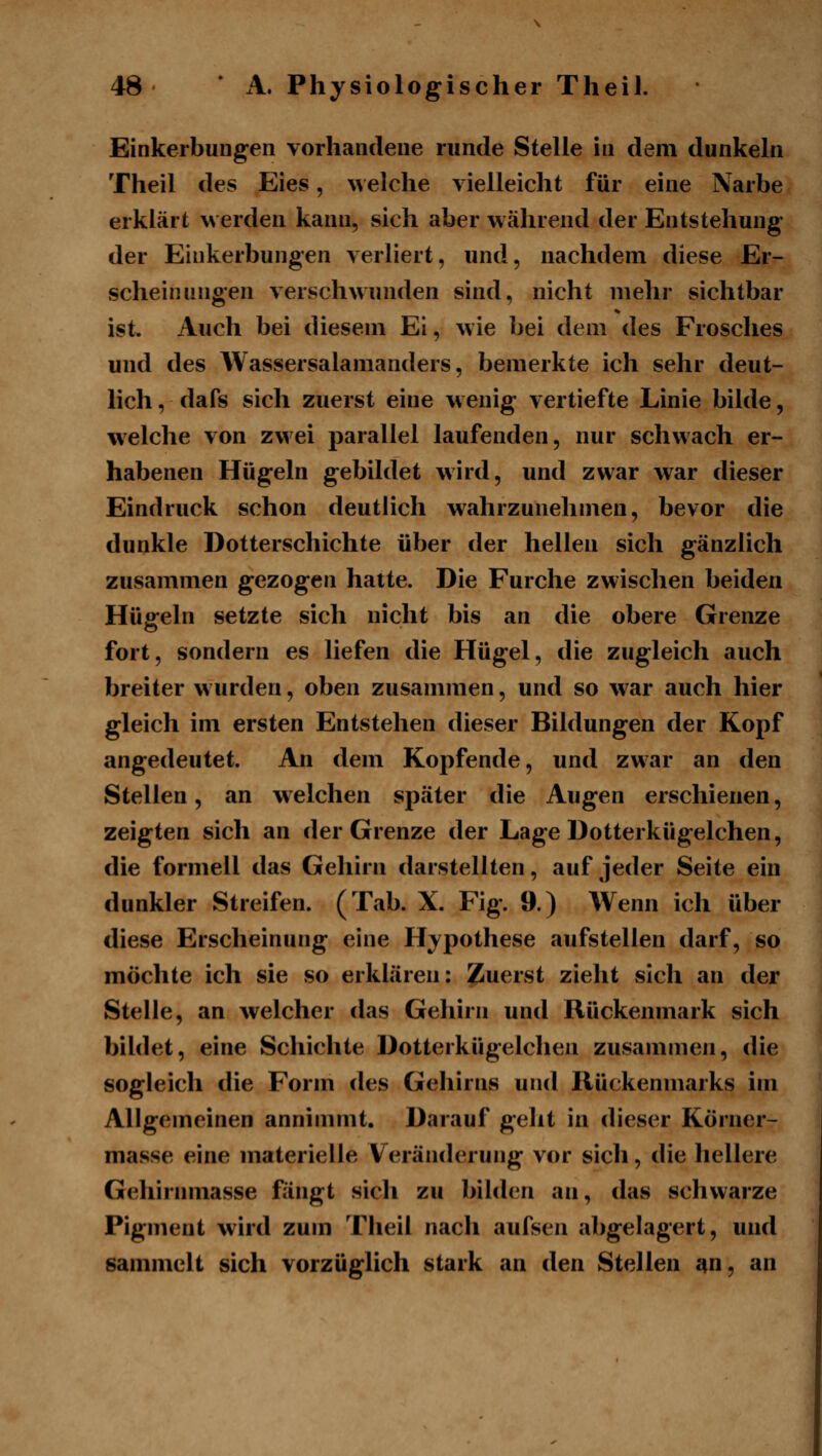 Einkerbungen vorhandene runde Stelle in dem dunkeln Theil des Eies, welche vielleicht für eine Narbe erklärt werden kann, sich aber während der Entstehung der Einkerbungen verliert, und, nachdem diese Er- scheinungen verschwunden sind, nicht mehr sichtbar ist. Auch bei diesem Ei, wie bei dem des Frosches und des Wassersalamanders, bemerkte ich sehr deut- lich , dafs sich zuerst eine w enig vertiefte Linie bilde, welche von zwei parallel laufenden, nur schwach er- habenen Hügeln gebildet wird, und zwar war dieser Eindruck schon deutlich wahrzunehmen, bevor die dunkle Dotterschichte über der hellen sich gänzlich zusammen gezogen hatte. Die Furche zwischen beiden Hüffeln setzte sich nicht bis an die obere Grenze fort, sondern es liefen die Hügel, die zugleich auch breiter wurden, oben zusammen, und so w^ar auch hier gleich im ersten Entstehen dieser Bildungen der Kopf angedeutet. An dem Kopfende, und zwar an den Stellen, an w eichen später die Augen erschienen, zeigten sich an der Grenze der Lage Dotterkügelchen, die formell das Gehirn darstellten, auf jeder Seite ein dunkler Streifen. (Tab. X. Fig. 9.) Wenn ich über diese Erscheinung eine Hypothese aufstellen darf, so möchte ich sie so erklären: Zuerst zieht sich an der Stelle, an welcher das Gehirn und Rückenmark sich bildet, eine Schichte Dotterkügelchen zusammen, die sogleich die Form des Gehirns und Rückenmarks im Allgemeinen annimmt. Darauf geht in dieser Körner- masse eine materielle Veränderung vor sich, die hellere Gehirnmasse fängt sich zu bildc^n an, das schwarze Pigment wird zum Theil nach aufsen abgelagert, und sammelt sich vorzüglich stark an den Stellen an, an