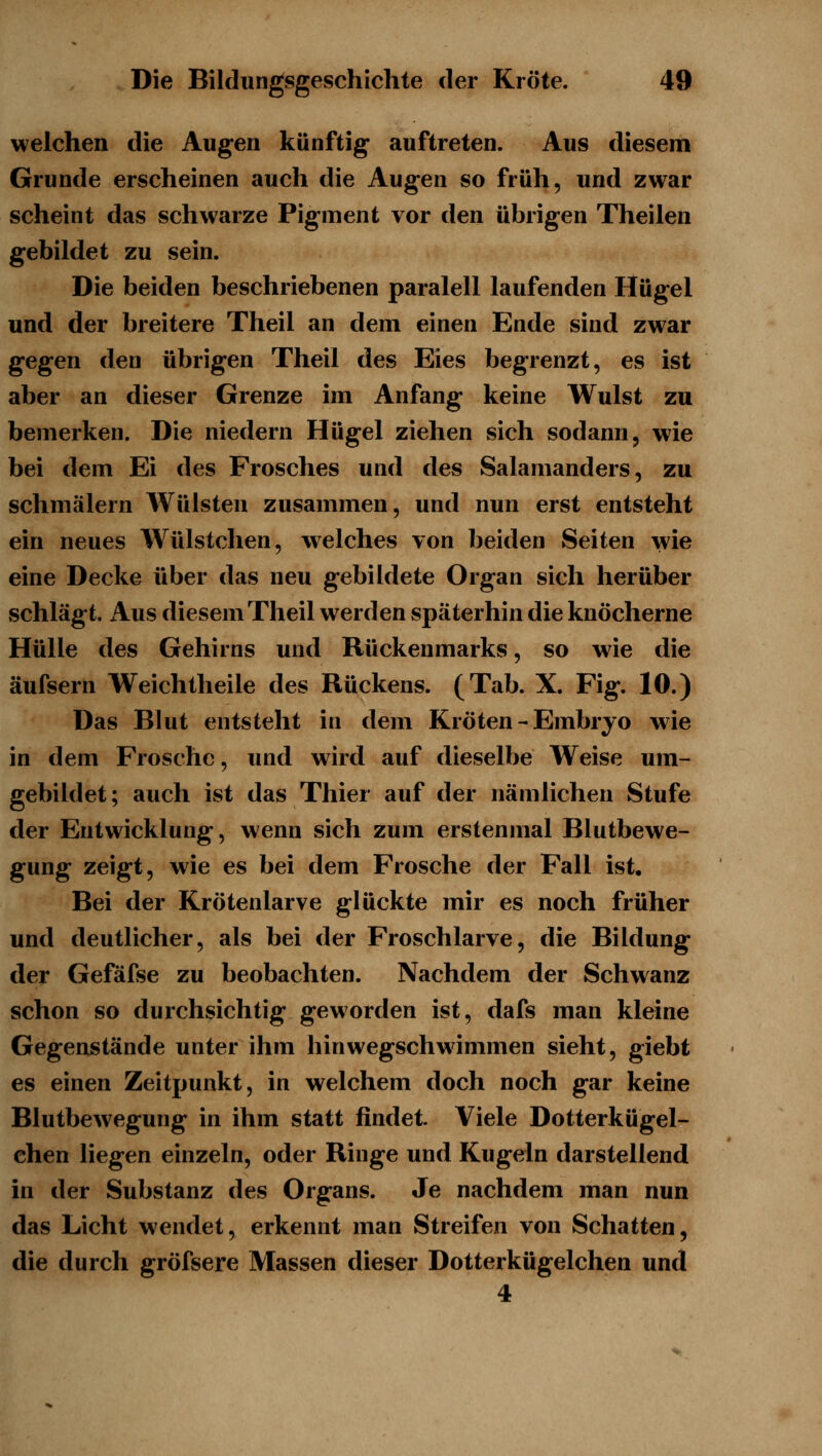 welchen die Augen künftig auftreten. Aus diesem Grunde erscheinen auch die Augen so früh, und zwar scheint das schwarze Pigment vor den übrigen Theilen gebildet zu sein. Die beiden beschriebenen paralell laufenden Hügel und der breitere Theil an dem einen Ende sind zwar gegen den übrigen Theil des Eies begrenzt, es ist aber an dieser Grenze im Anfang keine Wulst zu bemerken. Die niedern Hügel ziehen sich sodann, wie bei dem Ei des Frosches und des Salamanders, zu schmälern Wülsten zusammen, und nun erst entsteht ein neues Wülstchen, welches von beiden Seiten wie eine Decke über das neu gebildete Organ sich herüber schlägt. Aus diesem Theil werden späterhin die knöcherne Hülle des Gehirns und Rückenmarks, so wie die äufsern Weichtheile des Rückens. (Tab. X. Fig. 10.) Das Blut entsteht in dem Kröten - Embryo wie in dem Frosche, und wird auf dieselbe Weise um- gebildet; auch ist das Thier auf der nämlichen Stufe der Entwicklung, wenn sich zum erstenmal Blutbewe- gung zeigt, wie es bei dem Frosche der Fall ist. Bei der Krötenlarve glückte mir es noch früher und deutlicher, als bei der Froschlarve, die Bildung der Gefäfse zu beobachten. Nachdem der Schwanz schon so durchsichtig geworden ist, dafs man kleine Gegenstände unter ihm hinwegschwammen sieht, giebt es einen Zeitpunkt, in welchem doch noch gar keine Blutbew^egung in ihm statt findet. Viele Dotterkügel- chen liegen einzeln, oder Ringe und Kugeln darstellend in der Substanz des Organs. Je nachdem man nun das Licht wendet, erkennt man Streifen von Schatten, die durch gröfsere Massen dieser Dotterkügelchen und 4