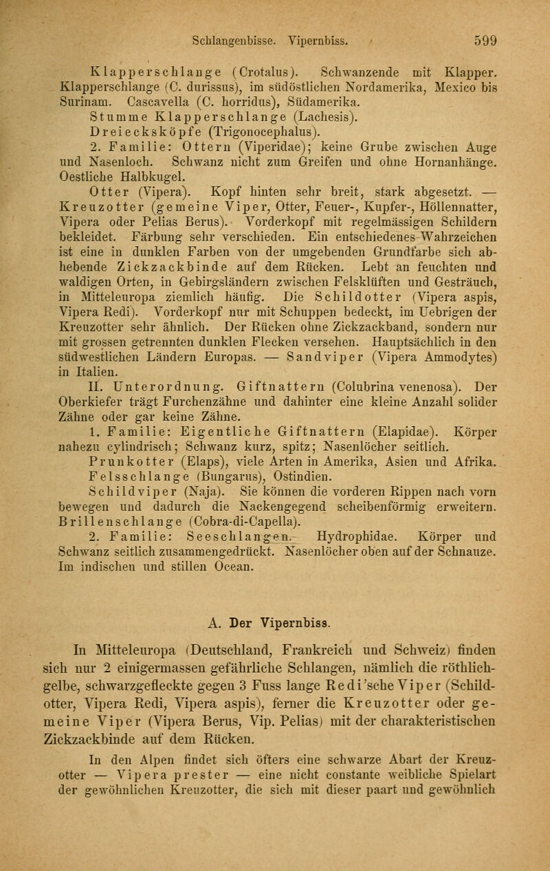 Klapperschlange (Crotalus). Schwanzende mit Klapper. Klapperschlange (C. durissus), im südöstlichen Nordamerika, Mexico bis Surinam. Cascavella (C. horridns), Südamerika. Stumme Klapperschlange (Lachesis). Dreiecksköpfe (Trigonocephalus). 2. Familie: Ottern (Viperidae); keine Grube zwischen Auge und Nasenloch. Schwanz nicht zum Greifen und ohne Hornanhänge. Oestliche Halbkugel. Otter (Vipera). Kopf hinten sehr breit, stark abgesetzt. — Kreuzotter (gemeine Viper, Otter, Feuer-, Kupfer-, Höllennatter, Vipera oder Pelias Berns). Vorderkopf mit regelmässigen Schildern bekleidet. Färbung sehr verschieden. Ein entschiedenes Wahrzeichen ist eine in dunklen Farben von der umgebenden Grundfarbe sich ab- hebende Zickzackbinde auf dem Rücken. Lebt an feuchten und waldigen Orten, in Gebirgsländern zwischen Felsklüften und Gesträuch, in Mitteleuropa ziemlich häufig. Die Schildotter TVipera aspis, Vipera Redi). Vorderkopf nur mit Schuppen bedeckt, im Uebrigen der Kreuzotter sehr ähnlich. Der Rücken ohne Zickzackband, sondern nur mit grossen getrennten dunklen Flecken versehen. Hauptsächlich in den südwestlichen Ländern Europas. — Sandviper (Vipera Ammodytes) in Italien. II. Unterordnung. Giftnattern (Colubrina venenosa). Der Oberkiefer trägt Furchenzähne und dahinter eine kleine Anzahl solider Zähne oder gar keine Zähne. 1. Familie: Eigentliche Giftnattern (Elapidae). Körper nahezu cylindrisch; Schwanz kurz, spitz; Nasenlöcher seitlich. Prunkotter (Elaps), viele Arten in Amerika, Asien und Afrika. Felsschlange (Bungarus), Ostindien. Schildviper (Naja). Sie können die vorderen Rippen nach vorn bewegen und dadurch die Nackengegend scheibenförmig erweitern. Brillenschlange (Cobra-di-Capella). 2. Familie: Seeschlangen- Hydrophidae. Körper und Schwanz seitlich zusammengedrückt. Nasenlöcher oben auf der Schnauze. Im indischen und stillen Ocean. A. Der Vipernbiss. In Mitteleuropa (Deutscliland, Frankreicli und Schweiz) finden sicli nur 2 einigermassen gefährliche Schlangen, nämlich die röthlich- gelbe, schwarzgefleckte gegen 3 Fuss lange Redi'sehe Viper (Schild- otter, Vipera Redi, Vipera aspis), femer die Kreuzotter oder ge- meine Viper (Vipera Berus, Vip. Pelias) mit der charakteristischen Zickzackbinde auf dem Rückeu. In den Alpen findet sich öfters eine schwarze Abart der Kreuz- otter — Vipera prester — eine nicht constante weibliche Spielart der gewöhnlichen Kreuzotter, die sich mit dieser paart und gewöhnlich