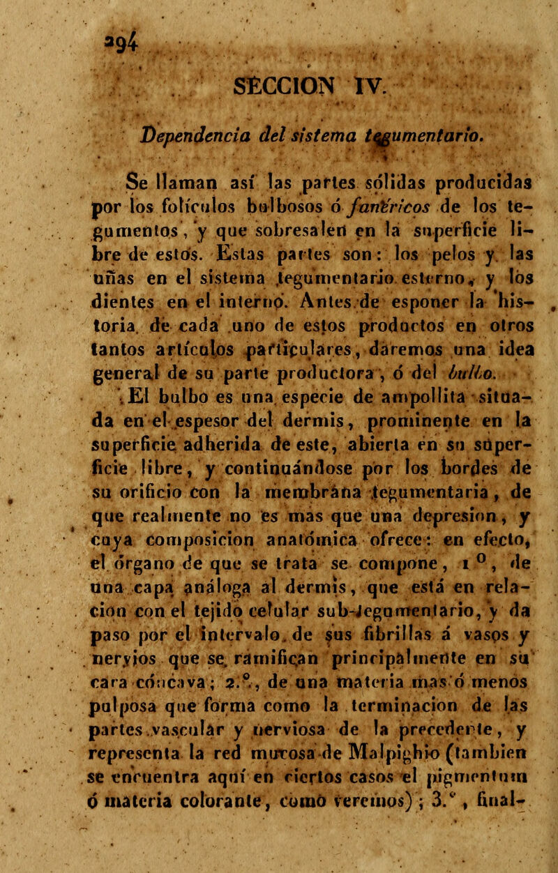 a94 SECCIÓN IV. Dependencia del sistema tegumentario. Se llaman así las partes sólidas producidas por los folículos bulbosos ó fant'n'cos de los te- gumentos, y que sobresalen en la superficie li- bre de estos. Estas partes son: los pelos y. las unas en el sistema .tegumentario estimo, y los dientes en el interno. Antes de esponer la his- toria, de cada uno de estos productos en otros tantos artículos particulares, daremos una idea general de su parte productora , ó del bullo. .El bulbo es una especie de ampollita situa- da en el espesor del dermis, prominente en la superficie adherida de este, abierta en su super- ficie libre, y continuándose por los bordes de su orificio con la membrana tegumentaria, de que realmente no es mas que una depresión, y cuya composición anatómica ofrece: en efecto, el órgano de que se trata se compone, i °, de una capa análoga al dermis, que está en rela- ción con el tejido celular sub-Jegumentario, y da paso por el intervalo.de sus fibrillas á vasos y nervios que se. ramifican principalmente en su cara cóncava; 2.°., de una materia mas ó menos pulposa que forma como la terminación de las partes.vascular y nerviosa de la precederte, y representa la red murosa de Malpighio (también se encuentra aquí en ciertos casos el pigmentum ó materia colorante, como veremos) ; 3.° , final-