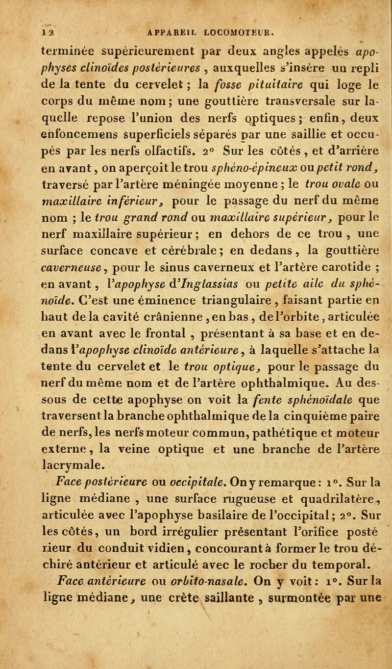 terminée supérieurement par deux angles appelés apo- physes cUnoïdes postérieures , auxquelles s'insère uu repli de la tente du cervelet ; la fosse pituiiaire qui loge le corps du même nom; une gouttière transversale sur la- quelle repose l'union des nerfs optiques ; enfin, deux enfoncemens superficiels séparés par une saillie et occu- pés par les nerfs olfactifs. 2° Sur les côtés , et d'arrière en avant, on aperçoit le trou sphéno-épineux ou petit rond^ traversé par l'artèi'e méningée moyenne ; le trou ovale ou maxillaire inférieur, pour le passage du nerf du même nom ; le trou grand rond ou maxillaire supérieur, pour le nerf maxillaire supérieur ; en dehors de ce trou , une surface concave et cérébrale; en dedans, la gouttière caverneuse, pour le sinus caverneux et l'artère carotide ; en avant, l'apophyse d'Inglassias ou petite aile du sphè^ noïde. C'est une éminence triangulaire , faisant partie en haut de la cavité crânienne , en bas , de l'orbite, articulée en avant avec le frontal , présentant à sa base et en de- dans l'apophyse cUnoîde antérieure, à laquelle s'attache la tente du cervelet et le trou optiquej, pour le passage du nerf du même nom et de l'artère ophthalmique. Au des- sous de cette apophyse on voit la fente sphénoïdale que traversent la branche ophthalmique de la cinquième paire de nerfs, les nerfs moteur commun, pathétique et moteur externe, la veine optique et une branche de l'artère lacrymale. Face postérieure on occipitale. On j remarque: i°. Sur la ligne médiane , une surface rugueuse et quadrilatère, articulée avec l'apophyse basilaire de l'occipital; 2°. Sur les côtés, un bord irrégulier présentant l'orifice posté rieur du conduit vidien, concourant à former le trou dé- chiré antérieur et articulé avec le rocher du temporal. Face antérieure ou orbito-nasale. On y voit: 1°. Sur la ligne médiane, une crête saillante , surmontée par une