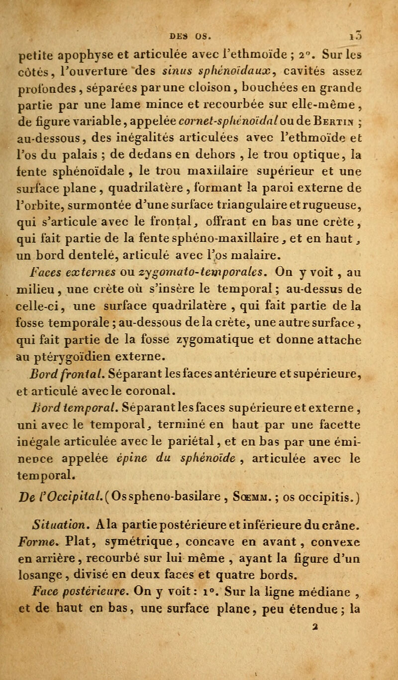 petite apophyse et articulée avec l'ethmoïde ; %. Sur les côtés, l'ouverture des sinus sphénoïdaux, cavités assez proibndes, séparées par une cloison, bouchées en grande partie par une lame mince et recourbée sur elle-même, de figure variable, appelée co7'nef-s/3/ienoiY/rt/ou deBertijc ; au-dessous, des inégalités articulées avec l'ethmoïde et l'os du palais ; de dedans en dehors , le trou optique, la fente sphénoïdale , le trou maxillaire supérieur et une surface plane , quadrilatère , formant la paroi externe de l'orbite, surmontée d'une surface triangulaire et rugueuse, qui s'articule avec le frontal^ offrant en bas une crête, qui fait partie de la fente sphéno-maxillaire , et en haut, un bord dentelé, articulé avec l'os maiaire. Faces externes ou zygomato-temporales. On y voit, au milieu , une crête où s'insère le temporal ; au-dessus de celle-ci, une surface quadrilatère , qui fait partie de la fosse temporale ; au-dessous de la crête, une autre surface, qui fait partie de la fosse zygomatique et donne attache au ptérygoïdien externe. Bord fronial. Séparant les faces antérieure et supérieure, et articulé avec le coronal. Jiord temporal. Séparant les faces supérieure et externe , uni avec le temporal ^ terminé en haut par une facette inégale articulée avec le pariétal, et en bas par une émi- neoce appelée épine du sphénoïde , articulée avec le temporal. De /'Occ/^t<a/.(Ossphenû-basiIare , Scemm. ; os occipitis.) Situation. Ala partie postérieure et inférieure du crâne. Forme. Plat, symétrique, concave en avant, convexe en arrière, recourbé sur lui même , ayant la figure d'un losange, divisé en deux faces et quatre bords. Face postérieure. On y voit: i». Sur la ligne médiane , et de haut en bas, une surface plane, peu étendue; la