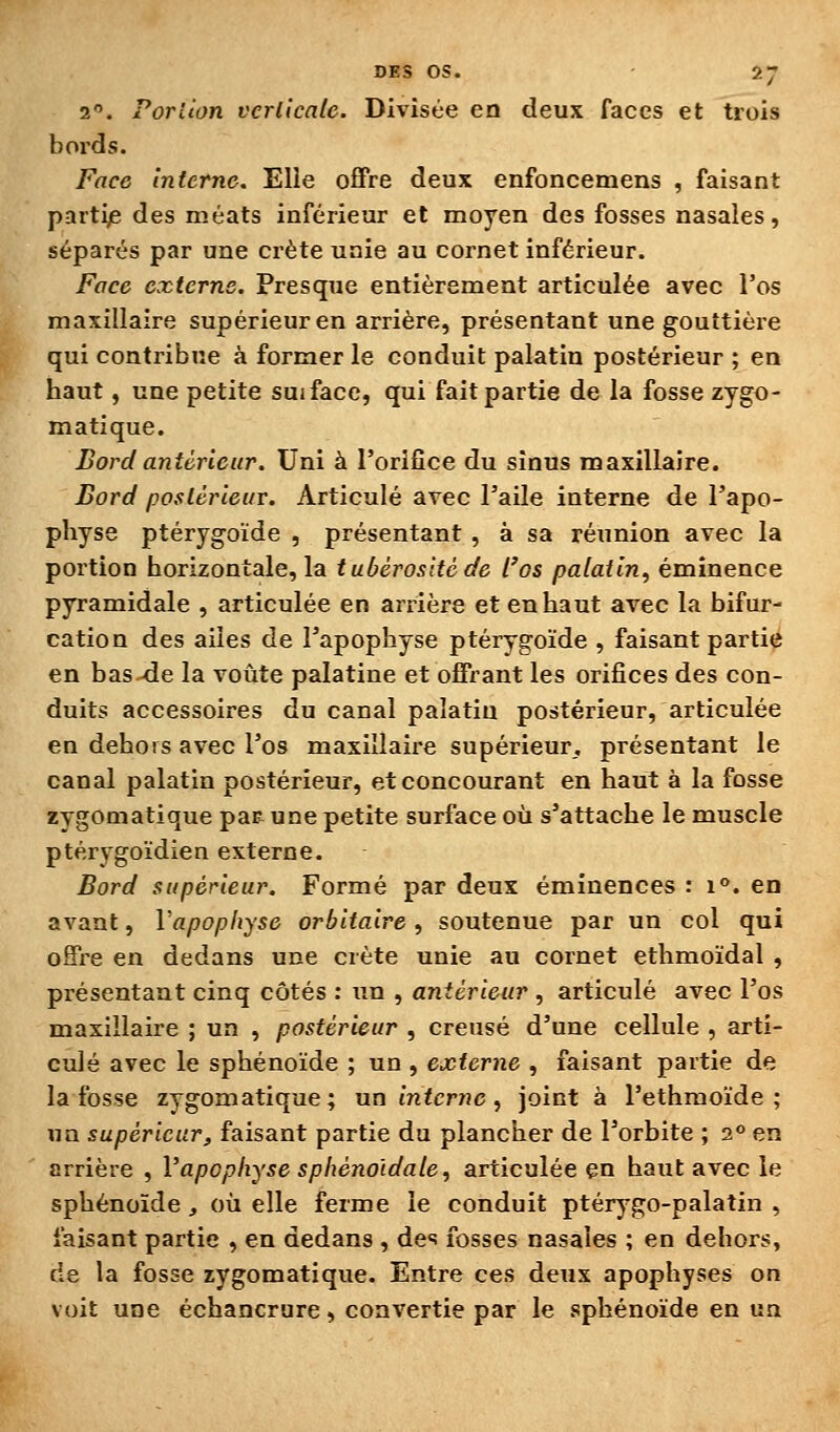 2. Portion verticale. Divisée en deux faces et trois bords. Face interne. Elle offre deux enfoncemens , faisant partije des méats inférieur et moyen des fosses nasales, séparés par une crête unie au cornet inférieur. Face externe. Presque entièrement articulée avec l'os maxillaire supérieur en arrière, présentant une gouttière qui contribue à former le conduit palatin postérieur ; en haut, une petite suifacc, qui fait partie de la fosse zygo- matique. Bord antérieur. Uni à l'orifice du sinus maxillaire. Bord postérieur. Articulé avec l'aile interne de l'apo- pliyse ptérygoïde , présentant , à sa réunion avec la portion horizontale, la tubérositcde l'os palatin, éminence pyramidale , articulée en arrière et en haut avec la bifur- cation des ailes de l'apophyse ptérygoïde , faisant partie en bas -de la voûte palatine et offrant les orifices des con- duits accessoires du canal palatin postérieur, articulée en dehors avec l'os maxillaire supérieur, présentant le canal palatin postérieur, et concourant en haut à la fosse zygomatique par une petite surface où s'attache le muscle ptérygoïdien externe. Bord supérieur. Formé par deux éminences : i°. en avant, Vapopliyse orbitaire, soutenue par un col qui offre en dedans une crête unie au cornet ethmoïdal , présentant cinq côtés : un , antérieur , articulé avec l'os maxillaire ; un , postérieur , creusé d'une cellule , arti- culé avec le sphénoïde ; un , externe , faisant partie de la fosse zygomatique ; un interne, joint à l'ethmoïde ; un supérieur, faisant partie du plancher de l'orbite ; 2° en arrière , Vapopliyse sphéno'idale, articulée en haut avec le sphénoïde, où elle ferme le conduit ptérygo-palatin , faisant partie , en dedans , des fosses nasales ; en dehors, ce la fosse zygomatique. Entre ces deux apophyses on voit une échancrure, convertie par le sphénoïde en un