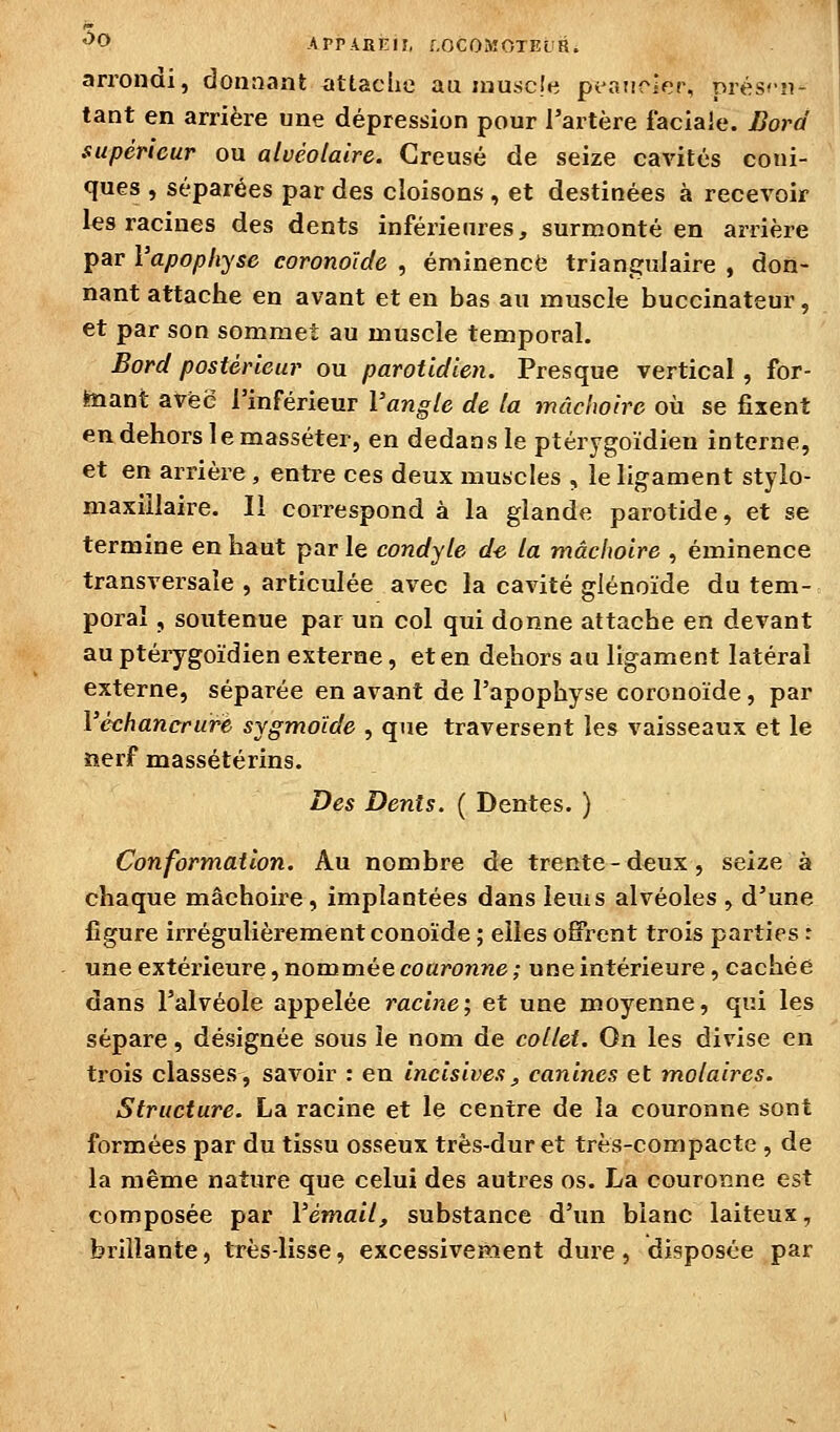 '^O APPAKKir, LOCOMOTEliR. arrondi, donnant attache au muscle pi-atirier, prés-n- tant en arrière une dépression pour l'artère faciale. Bord supérieur ou alvéolaire. Creusé de seize cavités coni- ques , séparées par des cloisons , et destinées à recevoir les racines des dents inférieures, surmonté en arrière par l'apophyse coronoïde , éminencé triangulaire , don- nant attache en avant et en bas au muscle buccinateur, et par son sommet au muscle temporal. Bord postérieur ou parotidien. Presque vertical, for- mant avec l'inférieur l'angle de la mâchoire où se fixent en dehors lemasséter, en dedans le ptérygoïdien interne, et en arrière, entre ces deux muscles , le ligament stylo- maxiîlaire. Il correspond à la glande parotide, et se termine en haut par le condyle d-e la mâchoire , éminence transversale , articulée avec la cavité glénoïde du tem- poral , soutenue par un col qui donne attache en devant au ptérygoïdien externe, et en dehors au ligament latéral externe, séparée en avant de l'apophyse coronoïde, par l'èchancrurè sygmoïde , que traversent les vaisseaux et le îierf massétérins. Des Dents. ( Dentés. ) Conformation. Au nombre de trente-deux, seize à chaque mâchoire, implantées dans lems alvéoles , d'une figure irrégulièrement conoïde ; elles offrent trois parties : une extérieure, nommée couronne ; une intérieure, cachée dans l'alvéole appelée racine', et une moyenne, qui les sépare, désignée sous le nom de collet. On les divise en trois classes, savoir : en incisives, canines et molaires. Structure. La racine et le centre de la couronne sont formées par du tissu osseux très-dur et très-compacte , de la même nature que celui des autres os. La couronne est composée par l'émail, substance d'un blanc laiteux, brillante, très-lisse, excessivement dure, disposée par