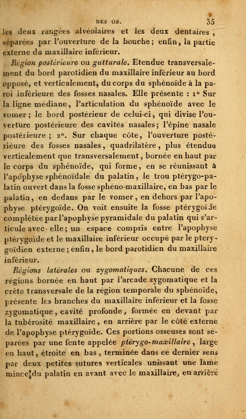 les deux rangées alvéolaires et les deux dentaires , séparées par Touverture de la bouche; enfin, la partie externe du maxillaire inférieur. Région postérieure ou gutturale. Etendue transversale- ment du bord parotidien du maxillaire inférieur au bord opposé, et verticalement, du corps du spbénoïde à la pa- roi inférieure des fosses nasales. Elle présente : i° Sur la ligne médiane, l'articulation du sphénoïde avec le vomer ; le bord postérieur de celui-ci, qui divise l'ou- verture postérieure des cavités nasales; l'épine nasale postérieure ; 2°. Sur chaque côte, l'ouverture posté- rieure des fosses nasales, quadrilatère, plus étendue verticalement que transversalement, bornée en haut par le corps du spbénoïde, qui forme, en se réunissant à l'apOphyse spbénoïdale du palatin, le trou ptérygo-pa- latin ouvert dans la fosse sphéno-maxillaire, en bas par le palatin, en dedans par le vomer, en dehors par l'apo- physe ptérygoïde. On voit ensuite la fosse ptérygoïde complétée par l'apophyse pyramidale du palatin qui s'ar- ticule avec elle ; un espace compris entre l'apophyse ptérygoïde et le maxillaire inférieur occupé par le ptery- goïdien externe ; enfin, le bord parotidien du maxillaire inférieur. Réglons latérales ou zygomatlques. Chacune de ces régions bornée en haut par l'arcade zygomatique et la crête transversale de la région temporale du sphénoïde, présente les branches du maxillaire inférieur et la fosse zygomatique, cavité profonde^ formée en devant par la tubérosité maxillaire, en arrière par le côté externe de l'apophyse ptérygoïde. Ces portions osseuses sont sé- parées par une fente appelée ptérygo-maxillaire , large en haut, étroite en bas , terminée dans ce dernier sens par deux petites sutures verticales unissant une lame mince|du palatin en avant avec le maxillaire, en arrière