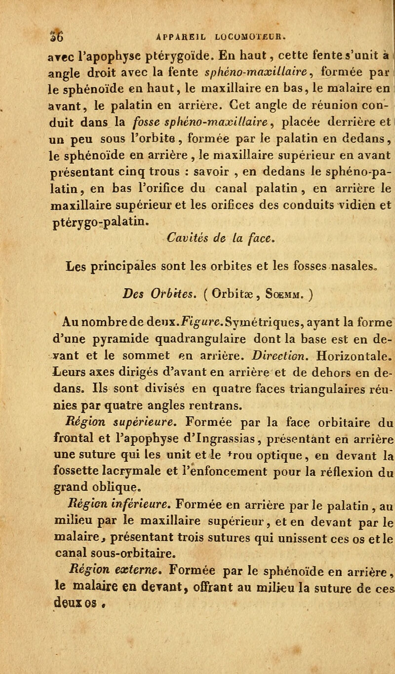 avec l'apophyse ptérygoïde. En haut, cette fente s'unit à \ angle droit avec la fente sphéno-maxUlaire ^ formée par le sphénoïde en haut, le maxillaire en bas, le malaire en avant, le palatin en arrière. Cet angle de réunion con- duit dans la fosse sphéno-maxillaire ^ placée derrière et un peu sous l'orbite, formée par le palatin en dedans, le sphénoïde en arrière, le maxillaire supérieur en avant présentant cinq trous : savoir , en dedans le sphéno-pa- latin, en bas l'orifice du canal palatin , en arrière le maxillaire supérieur et les orifices des conduits vidien et ptérygo-palatin. Cavités de la face. Les principales sont les orbites et les fosses nasales. Des Orbites. ( Orbitse, Smimm. ) Au nombre de deux.KjC^ure, Symétriques, ayant la forme d'une pyramide quadrangulaire dont la base est en de- vant et le sommet en arrière. DirecliGn. Horizontale. Leurs axes dirigés d'avant en arrière et de dehors en de- dans. Ils sont divisés en quatre faces triangulaires réu- nies par quatre angles rentrans. Région supérieure. Formée par la face orbitaire du frontal et l'apophyse d'Ingrassias, présentant en arrière une suture qui les unit et le +rou optique, en devant la fossette lacrymale et l'enfoncement pour la réflexion du grand oblique. Région inférieure. Formée en arrière par le palatin , au milieu par le maxillaire supérieur, et en devant par le malaire, présentant trois sutures qui unissent ces os et le canal sous-orbitaire. Région externe. Formée par le sphénoïde en arrière, le malaire en devant, offrant au milieu la suture de ces deus os «