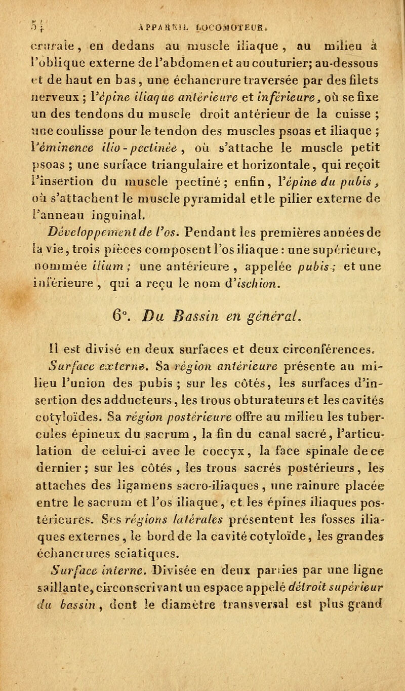 ■1 ■. APPAiln'L r-OCOMOTEUg» ciîî/ale, en dedans au muscle iliaque, au milieu à l'oblique externe de l'abdomen et au couturier; au-dessous ( t de haut en bas, une échancrure traversée par des filets nerveux ; Vcplne iliaque anlérieure et inférieure, où se fixe un des tendons du muscle droit antérieur de la cuisse ; une coulisse pour le tendon des muscles psoas et iliaque ; Véminence iilo- peciinèe, où s'attache le muscle petit psoas ; une surface triangulaire et horizontale, qui reçoit l'insertion du muscle pectine; enfin, Vépine du pubis, où s'attachent le muscle pyramidal et le pilier externe de l'anneau inguinal. Développement de l'os. Pendant les premières années de la vie, trois pièces composent l'os iliaque: une supérieure, nommée iliutn ; une antérieure , appelée /)«6<5; et une inférieure , qui a reçu le nom d'ischion. 6. Du Bassin en général. Il est divisé en deux surfaces et deux circonférences. Surface externe. Sa région antérieure présente au mi= lieu l'union des pubis ; sur les côtés, les surfaces d'in- sertion des adducteurs, les trous obturateurs et les cavités cotyloïdes. Sa région postérieure offre au milieu les tuber- cules épineux du sacrum , la fin du canal sacré, l'articu- lation de celui-ci avec le coccyx, la face spinale de ce dernier ; sur les côtés , les trous sacrés postérieurs, les attaches des ligamens sacro-iliaques , une rainure placée entre le sacrum et l'os iliaque, et les épines iliaques pos- térieures. Ses régions latérales présentent les fosses ilia- ques externes, le bord de la cavité cotyloïde, les grandes échancrures sciatiques. Surface interne. Divisée en deux pariies par une ligne saillante, circonscrivant un espace appelé (/Jfroiï A-wpcrieur du bassin , dent le diamètre transversal est plus grand