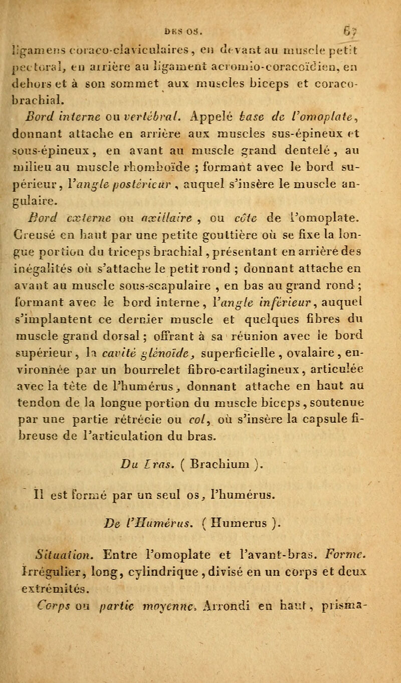 l.'ganieîîs cuiaco-ciaviculaires, cii tî* vant au unisflt! petit pectoral, en airière au ligament acioniio-coracoïdieu, en dehors et à son sommet aux muscles biceps et coraco- brachial. Bord interne caverlèbral. Appelé base de romoplate, donnant attache en arrière aux muscles sus-épineux et sous-épineux, en avant au muscle grand dentelé, au milieu au muscle rhomboïde ; formant avec le bord su- périeur, Vangtô jjosléricur , auquel s^insère le muscle an- gulaire. Bord cscierne ou nxillaire , ou côte de l'omoplate. Creusé en haut par une petite gouttière où se fixe la lon- gue portion du triceps brachial, présentant en arrière des inégalités où s'attache le petit rond ; donnant attache en avant au muscle sous-scapulaire , en bas au grand rond ; l'ormant avec le bord interne, l'angle m/tn'e«r, auquel s'implantent ce dernier muscle et quelques fibres du muscle grand dorsal ; ofî^rant à sa réunion avec le bord supéz'ieur, H cavité glénoïde, superficielle , ovalaire , en- vironnée par un bourrelet fibro-cartiîagineux, articulée avec la tète de l'humérus, donnant attache en haut au tendon de la longue portion du muscle biceps,soutenue par une partie rétrécie ou fo/, où s'insère la capsule fi- breuse de l'articulation du bras. Du Iras. ( Brachium ). Il est Formé par un seul os, l'humérus. De l'Humérus. ( Humérus ). Situation. Entre l'omoplate et l'avant-bras. Forme. ïrrégulier, long, cylindrique , divisé en un corps et deux extrémités. Corps ou partie moyenne. Arrondi en haut, pjisma-