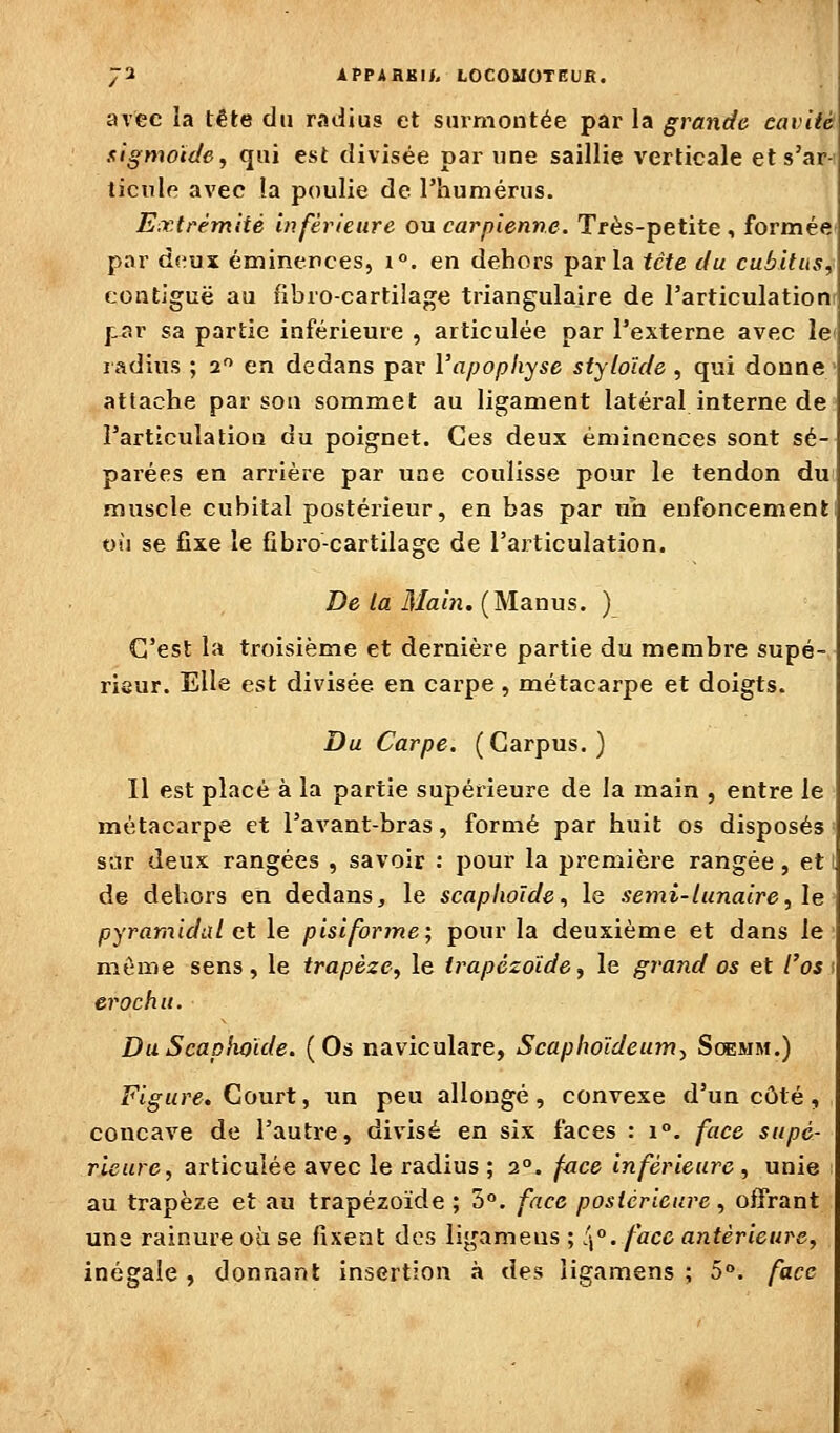 73 IPPARKI/- LOCOUOTEUB. avec la tête du radius et surmontée par la grande cavité sigmoïde, qui est divisée par une saillie verticale ets'apH ticnle avec la poulie de riiumérus. Extrémité inférieure ou carpienne. Très-petite , formée* par dv.ux éminences, i. en dehors parla tcte du cubitus, contiguë au fibro-cartilage triangulaire de l'articulationt par sa partie inférieure , articulée par l'externe avec lei radius ; 2 en dedans par l'apophyse styloïde , qui donne attache par son sommet au ligament latéral interne de rarticulatioQ du poignet. Ces deux éminences sont sé- parées en arrière par une coulisse pour le tendon du muscle cubital postérieur, en bas par un enfoncement! où se fixe le fibro-cartilage de l'articulation. De ta Main. (Manus. ) C'est la troisième et dernière partie du membre supé- rieur. Elle est divisée en carpe , métacarpe et doigts. Du Carpe. (Carpus. ) Il est placé à la partie supérieure de la main , entre le métacarpe et l'avant-bras, formé par huit os disposés sar deux rangées , savoir : pour la première rangée, et 1 de dehors en dedans, le scaplwïde, le semi-lunaire, le pyramidal et le pisiforjne; pour la deuxième et dans le même sens, le trapèze, le trapézoïde, le grand os et l'ost erochu. DuScaphoide. (Os naviculare, Scaphoïdeum^ Scgmm.) Figure. Court, im peu allongé, convexe d'un côté, concave de l'autre, divisé en six faces : 1°. face supé- rieure, articulée avec le radius ; 2°. face inférieure , unie au trapèze et au trapézoïde ; 5°. face postérieure, oiTrant une rainure où se fixent des ligamens ; \°, face antérieure, inégale , donnant insertion à des ligamens ; 5. face