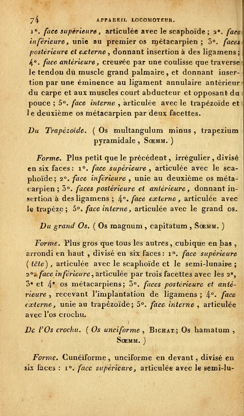 1». face supérieure, articulée avec le seaphoïde; 3». faee^ inférieure, unie au premier os métacarpien ; 5«. faces postérieure et externe, donnant insertion à des ligamens ; 4.°. face antérieure, creusrée par une coulisse que traverse» le tendon du muscle grand palmaire, et donnant inser- tion par une éminence au ligament annulaire antérieur r du carpe et aux muscles court abducteur et opposant du 1 pouce ; 5°. face interne , articulée avec le trapézoïde et t le deuxième os métacarpien par deux facettes. Du Trapézoïde. ( Os multangulum minus , trapezium pyramidale , Soemm. ) Forme. Plus petit que le précédent, irrégulier, divisé en six faces: i°. face supérieure , articulée avec le sea- phoïde; 2°. face inférieure , unie au deuxième os méta- carpien; 3°. faces postérieure et antérieure, donnant in- sertion à des ligamens ; 4°« face externe, articulée avec le trapèze; S^. face interne, articulée avec le grand os. Du grand Os. ( Os magnum , capitatum , Soemm. ) Forme. Plus gros que tous les autres, cubique en bas , arrondi en haut , divisé en six faces: 1°. face supérieure ( tète), articulée avec le seaphoïde et le semi-lunaipe ; 2*^^ face inférieure ^S-Tticnlée par trois facettes avec les a», 3» et 4* os métacarpiens; 3°. faces postérieure et anté- rieure 5 recevant l'implantation de ligamens ; 4°- face externe, unie au trapézoïde; 5°. face interne , articulée avec l'os crochu. De l'Os crochu. ( Os unciforme , Bichat; Os hamatum , Soemm. ) Forme. Cunéiforme, unciforme en devant, divisé en sis faces : 1°. face supérieure, articulée avec le semi-lu-