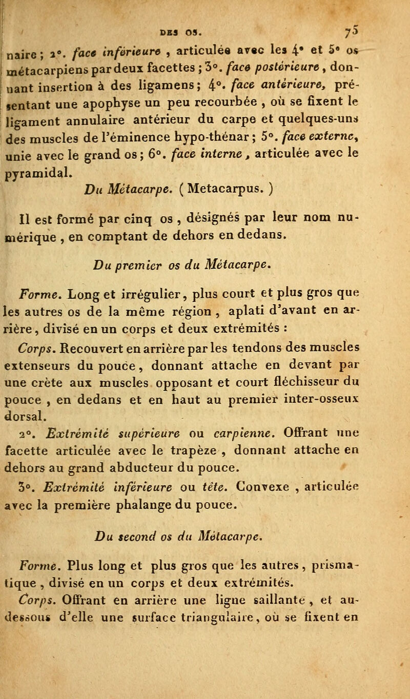 Ijnaire; a', facs inférieure , articulée avec les 4* et S» os I métacarpiens pardeux facéties ; S», fac» postérieure, don- ; liant insertion à des ligamens; 4°. face antérieure, pré- sentant une apophyse un peu recourbée , où se fixent le ligament annulaire antérieur du carpe et quelques-un;* des muscles de Téminence hypo-thénar ; 5°, face externe^ unie avec le grand os; 6°. face interne, articulée avec le pyramidal. Du Métacarpe. ( Metacarpus. ) Il est formé par cinq os , désignés par leur nom nu- mérique , en comptant de dehors en dedans. Du premier os du Métacarpe. Forme. Long et irrégulier, plus court et plus gros que les autres os de la môme région , aplati d'avant en ar- rière , divisé en un corps et deux extrémités : Corps. Recouvert en arrière par les tendons des muscles extenseurs du pouce, donnant attache en devant par une crête aux muscles opposant et court fléchisseur du pouce , en dedans et en haut au premier inter-osseux dorsal. 2°. Extrémité supérieure ou carpienne. Offrant une facette articulée avec le trapèze , donnant attache en dehors au grand abducteur du pouce. 3°. Extrémité inférieure ou tête. Convexe , articulée avec la première phalange du pouce. Du second os du Métacarpe. Forme. Plus long et plus gros que les autres, prisma- tique , divisé en un corps et deux extrémités. Corps. Offrant en arrière une ligue saillante , et au- desoous d'elle une surface triangulaire, où se fixent en