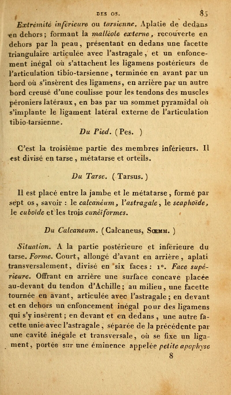 Extrémité inférieure ou tarsienne. Aplatie de dedanâ ■en dehors; formant la malléole externe, recouverte en dehors par la peau, présentant en dedans une facette triangulaire articulée avec Tastragale, et un enfonce- ment inégal où s'attachent les ligamens postérieurs de l'articulation tibio-tarsienne , terminée en avant par un bord où s'insèrent des ligamens, en arrière par un autre bord creusé d'une coulisse pour les tendons des muscles pèroniers latéraux, en bas par ua sommet pyramidal où s'implante le ligament latéral externe de l'articulation tibio-tarsienne. Du Pied. ( Pas. ) C'est la troisième partie des membres inférieurs. Il ^st divisé en tarse , métatarse et orteils. Du Tarse. ( Tarsus. ) Il est placé entre la jambe et le métatarse, formé par sept os, savoir : le calcanêum3 Vastragale, le scaphoïde, le cuboïde et les trois cunéiformes. Du Calcaneum. (Galcaneus, Sœmm. ) Situation, A la partie postérieure et inférieure du tarse, forme. Court, allongé d'avant en arrière, aplati transversalement, divisé en six faces: 1°. Face supé- rieure. Offrant en arrière une surface concave placée au-devant du tendon d'Achille ; au milieu , une facette tournée en avant, articulée avec l'astragale; en devant et en dehors un enfoncement inégal pour des ligamens qui s'y insèrent ; en devant et en dedans , une autre fa- cette unie avec l'astragale, séparée de la précédente par une cavité inégale et transversale, où se fixe un liga- ment, portée sur une éminence n-ppeUe petite apophyse 8