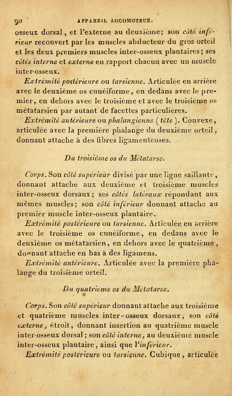 §0 APPAREIL rOCOMOTE0g- osseux dorsal, et Texterne au deuxième; son cjià infc^ rieur recouvert par les muscles abducteur du gros orteil et les deux pi-emiers muscles inter-osseux plantaires; ses côtés interne et externe eu rapport chacun avec un muscle inter-osseux. Extrémité postérieure ou tarsienne. Articulée en arrière avec le deuxième os cunéiforme, en dedans avec le pre- mier, en dehors avec le troisième et avec le troisième os métatarsien par autant de facettes particulières. Extrémité antérieure ou phalangienno ( tête). Convexe, articulée avec la première phalange du deuxième orteil, donnant attache à des fibres ligamenteuses. Du ti'oisièn^e os du Métatarse. Corps. Son côlé supérieur divisé par une ligne saillant!.', donnant attache aux deuxième et troisième muscles inter-osseux dorsaux; ses côtés latéraux répondant aux mêmes muscles; son côté inférieur donnant attache au premier muscle inter-osseux plantaire. Extrémité postérieure ou tarsienne. Articulée en arrière avec le troisième os cunéiforme, en dedans avec le deuxième os métatarsien, en dehors avec le quatrième , doi^nant attache en bas à des ligamens. Extrémité antérieure. Articulée avec la première pha- lange du troisième orteil. Du quatrième os du Métatarse. Corps. Son côlé supérieur donnant attache aux troisième et quatrième muscles inter-osseux dorsaux, son côlà externe, étroit, donnant insertion au quatrième muscle inter-osseux dorsal ; son côté interne, au deuxième muscle inter-osseux plantaire, ainsi que Vinférieur. Extrémitéposicricurc ou lavsicnne. Cubique, articulée