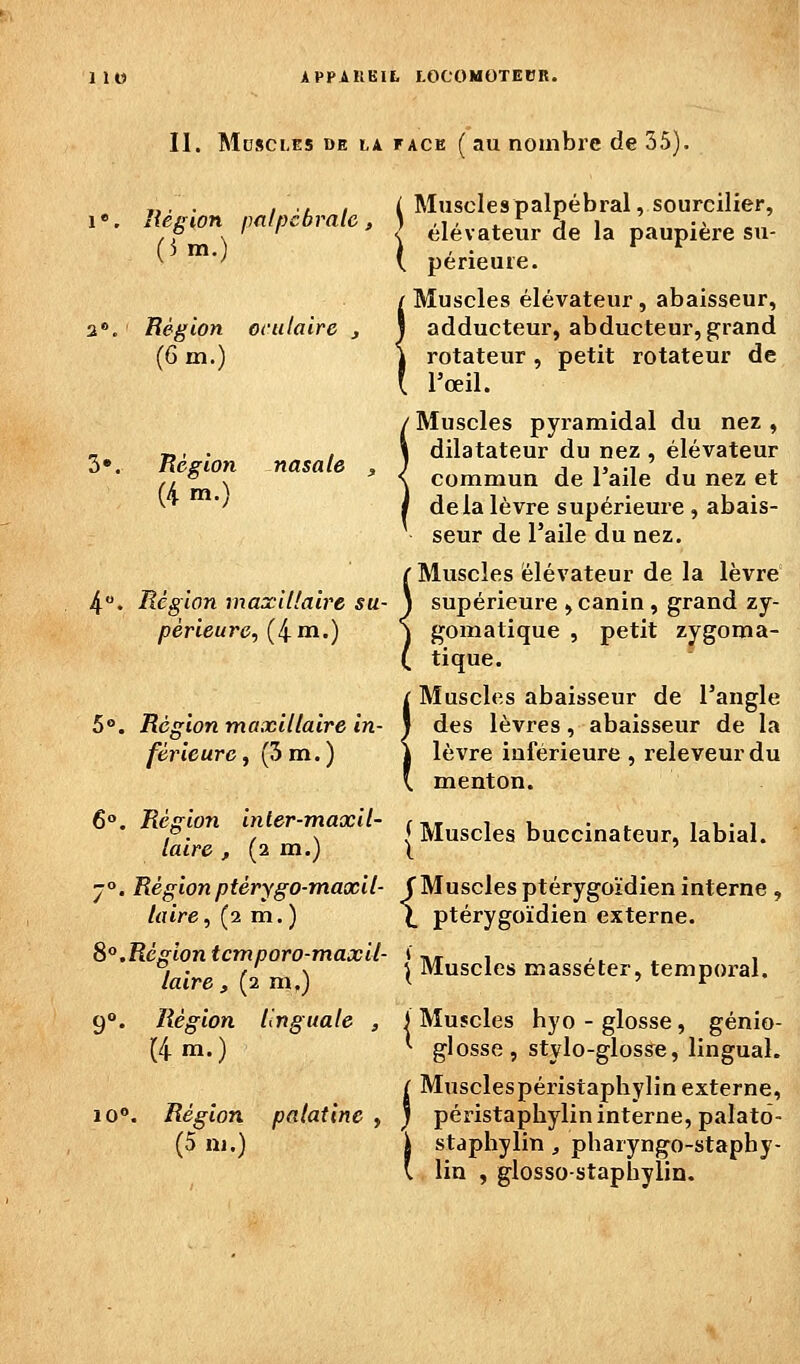 APPAIIEII, J.OCOMOTECR. II. Muscles de la face ( au nombre de 35). 1 •. lîègion pftfpcbralc , (5 m.) 2*. Région oculaire j {G m.) 3». Région nasale (4 m.) 4. Région maxillaire su- périeure, (4 m.) 5°. Région maxillaire in- férieurc, (3 m.) 6°. Région inler-maxil- laire , (2 m.) 7°. Région ptèrygo-maxil- laire, (2 m.) 8°.Région tcmporo-maxii- laire, (2 m.) 9°. Région linguale , (4 m.) 10». Région palatine , (5 m.) Muscles palpébral, sourciller, élévateur de la paupière su- périeure. Muscles élévateur, abaisseur, adducteur, abducteur, grand rotateur , petit rotateur de l'œil. / Muscles pyramidal du nez , \ dilatateur du nez , élévateur i commun de l'aile du nez et I delà lèvre supérieure , abais- seur de l'aile du nez. r Muscles élévateur de la lèvre \ supérieure , canin , grand zy- { gomatique , petit zygoma- ( tique. i Muscles abaisseur de l'angle des lèvres, abaisseur de la lèvre inférieure, reieveurdu menton. I Muscles buccinateur, labial. {Muscles ptérygoïdien interne, ptérygoïdien externe. \ Muscles masséter, tempoi-al. I Muscles hyo - glosse, génio- * glosse, stylo-glosse, lingual. ( Musclespéristaphylin externe, ) péristaphylin interne, palato- I staphylin , pharyngo-stapby- l lin , glosso-staphylin.