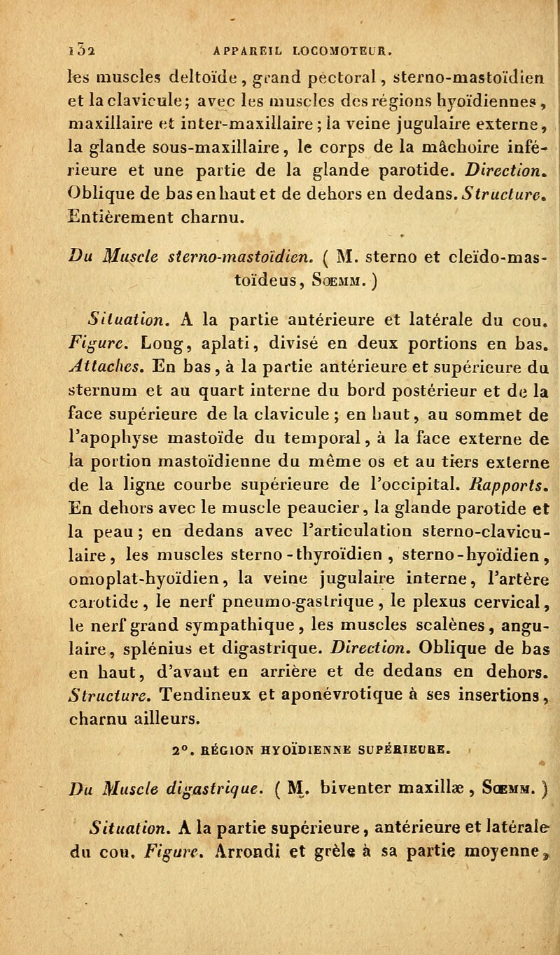 les muscles deltoïde , grand pectoral, sterno-mastoïdien et la clavicule; avec les muscles des régions hj'oïdiennes, maxillaire et inter-maxillaire; la veine jugulaire externe, la glande sous-maxillaire, le corps de la mâchoire infé- rieure et une partie de la glande parotide. Direction, Oblique de bas en haut et de dehors en dedans. Structure, Entièrement charnu. Du Muscle sîerno-mastoïdien. ( M. sterno et cleïdo-mas- toïdeus, SoEMM. ) Situation. A la partie antérieure et latérale du cou. Figure. Long, aplati, divisé en deux portions en bas. Attaches. En bas, à la partie antérieure et supérieure du sternum et au quart interne du bord postérieur et de la face supérieure de la clavicule ; en haut, au sommet de l'apophyse mastoïde du temporal, à la face externe de la portion mastoïdienne du même os et au tiers externe de la ligne courbe supérieure de l'occipital. Rapports. En dehors avec le muscle peaucier, la glande parotide et la peau ; en dedans avec l'articulation sterno-clavicu- laire, les muscles sterno-thyroïdien , sterno-hyoïdien, omoplat-hyoïdien, la veine jugulaire interne, l'artère carotide, le nerf pneumogastrique, le plexus cervical, le nerf grand sympathique, les muscles scalènes, angu- laire , splénius et digastrique. Direction. Oblique de bas en haut, d'avant en arrière et de dedans en dehors. Structure. Tendineux et aponévrotique à ses insertions, charnu ailleurs. 2°. EÉGION HYOÏDIENNE SUPÉEIEDBE. Du Muscle digastrique. ( M. biventer maxillde, Soemm. ) Situation. A la partie supérieure, antérieure et latérale du cou. Figure. Arrondi et grêle à sa partie moyenne^