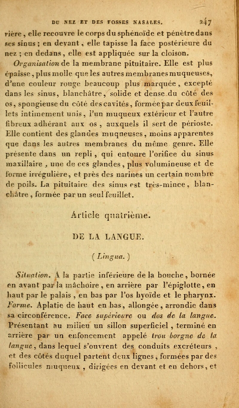 riére , elle recouvre le corps du sphénoïde et pénètre dans ses sinus ; en devant, elle tapisse la face postérieure du nez ; en dedans , elle est appliquée sur la cloison. Organisation de la membrane pituitaire. Elle est plus épaisse, plus molle que les autres membranes muqueuses, d'une couleur rouge beaucoup plus marquée , excepté dans les sinus, blanchâtre, solide et dense du côté des os, spongieuse du côté des cavités, formée par deux feuil- lets intimement unis, l'un muqueux extérieur et l'autre fibreux adhérant aux os , auxquels il sert de périoste. Elle contient des glandes muqueuses, moins apparentes que dans les autres membranes du même genre. Elle présente dans un repli , qui entoure l'orifice du sinus maxillaire , une de ces glandes , plus volumineuse et de forme irrégulière, et près des narines un certain nombre de poils. La pituitaire des sinus est très-mince, blan- châtre , formée par un seul feuillet. Article quatrième. DE LA LANGUE. ( Lingua. ) Sitimiion. A la partie inférieure delà bouche, bornée en avant parla mâchoire, en arrière par l'épiglolte, en haut par le palais , en bas par l'os hyoïde et le pharynx. Forme. Aplatie de haut en bas, allongée, arrondie dans sa circonférence. Face supérieure ou dos de la langue. Présentant au milieu un sillon superficiel , terminé en arrière par un enfoncement appelé trou borgne de la langue, dans lequel s'ouvrent des conduits excréteurs , et des côtés duquel partent deux lignes , formées par des follicules Hiuqueux , dirigées en devant et en dehors, et