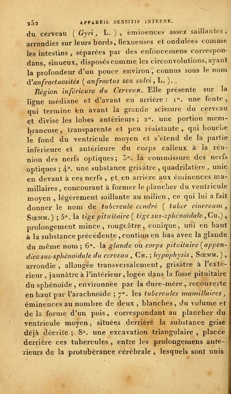 du cerveau { Gyi-i, L. ) , éminences assez saillantes, arrondies sur leurs bords, tlexueuses et ondulées comme les intestins, séparées par des enfoncemens correspon- dans, sinueux, disposés comme les circonvolutions, ayant la profondeur d'un pouce environ , connus sous le nom d'anfraduosités ( anfracius seu sulcl ^ L. ). Région inférieure du Cerveaa. Elle présente sur la ligne médiane et d'avant en arrière: 1°. une fente, qui termine fen avant la grande scissure du cerveau et divise les lobes antérieurs ; 2°. une portion mem- braneuse, transparente et peu résistante, qui bouclie le fond du ventricule moyen et s'étend de la partie inférieure et antérieure du corps calleux à la réu- nion des nerfs optiques; 5. la commissure des nerfs optiques ; 4°. une substance grisâtre , quadrilatère^ unie en devant à ces nerfs , et en arrière aux éminences ma- millaires, concourant à former le plancher du ventricule moyen , légèrement saillante au milieu, ce qui lui a fait donner le nom de tubercule cendre ( tuber cincreum , Sqemm. ) ; 5. la tige pituitaire ( tige sus-spliènotdafe , Cn.),. prolongement mince , rougeâtre , conique, uni en haut à la substance précédente, continu en bas avec la glande du même nom ; 6. la glande ou corps pituitaire {appen- dice s us-spliénoïdale du cerveau, Ch. ; liypophysis, Sqemm. ) , arrondie, allongée transversalement, grisâtre à l'exté- rieur , jaunâtre à l'intérieur, logée dans la fosse pituitaire du sphénoïde , environnée par la dure-mère, recouverte en haut par l'arachnoïde ; 7°. les tubercules mamiltaires, éminences au nombre de deux , blanches, du volume et de la forme d'un pois, correspondant au plancher du ventricule moyen, situées derrière la substance gzùse déjà décrite ; 8». une excavation triangulaire , placée derrière ces tubercules , entre les prolongemens anté- rieurs de la protubérance cérébrale , lesquels sont unis