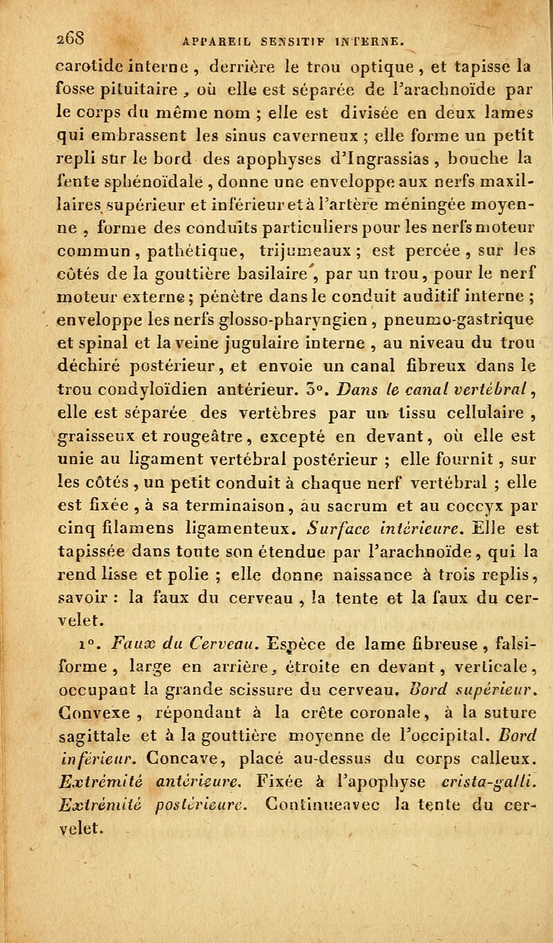 carotide interne , derrière le trou optique, et tapisse la fosse piluitaire , où elle est séparée de l'arachnoïde par le corps du même nom ; elle est divisée en deux lames qui embrassent les sinus caverneux ; elle forme un petit repli sur le bord des apophyses d'Ingrassias , bouche la fente sphénoïdale , donne une enveloppe aux nerfs maxil- laires supérieur et inférieur et à l'artère méningée moyen- ne , forme des conduits particuliers pour les nerfs moteur commun , pathétique, trijumeaux; est percée , sur les cotés de la gouttière basilaire', par un trou, pour le nerf moteur externe; pénètre dans le conduit auditif interne ; enveloppe les nerfs glosso-pharyngien , pneumo-gastrique et spinal et la veine jugulaire interne , au niveau du trou déchiré postérieur, et envoie un canal fibreux dans le trou condyloïdien antérieur. 3°. Dans le canal vertébral ^ elle est séparée des vertèbres par ua- tissu cellulaire , graisseux et rougeâtre, excepté en devant, où elle est unie au ligament vertébral postérieur ; elle fournit, sur les côtés , un petit conduit à chaque nerf vertébral ; elle est fixée , à sa terminaison, au sacrum et au coccyx par cinq filamens ligamenteux. Surface intérieure. Elle est tapissée dans toute son étendue par l'arachnoïde, qui la rend li&se et polie ; elle donne naissance à trois replis, savoir : la faux du cerveau , la tente et la faux du cer- velet. 1. Faux du Cerveau. Esjpèce de lame fibreuse, falsi- forme , large en arrière^ étroite en devant, verticale, occupant la grande scissure du cerveau. Bord supérieur. Convexe , répondant à la crête coronale, à la suture sagittale et à la gouttière moyenne de l'occipital. Bord inférieur. Concave, placé au-dessus du corps calleux. Extrémité antérieure. Fixée à l'apophyse crista-galU. Extréniiié postérieure. Gontinueavec la tente du cer- velet.