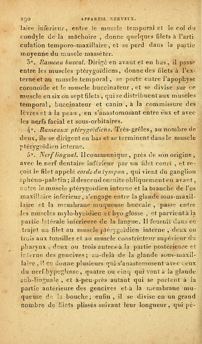 2'jU APPiKEIt. r<EBVEi:S. lajre inférieur, entie le muscle temporal et le col d»! condyle de la mâchoire , donne quelques filets à Tarti- culation temporo-maxiliaire, et se perd dans la partie moyenne du muscle massé ter. 3°. Rameau buccal. Dirigé eîî avant et en bas , il passe entre les muscles ptérygoïdiens, donne des filets à l'ex- terne et au muscle temporal , se porte entre l'apophyse coronoîde et le muscle buccinateur , et se divise sur ce roiiscle en six ou sept filets , qui kc distribuent aux muscles temporal, buccinateur et canin ,à la commissure des lè%-res et à la peau , en s'anastomosant entre eux et avec les nei^fs facial et sous-orbitaires. 4°. Bameaux ptérygoïdiens. Très-grêles, au nombre de deux, ils se dirigent en bas et se terminent dans le muscle ptérygnïdien interne. 5=*. Nerf lingual, llcommunique, près de son origine, avec le nerf dentaire inférieur par un filet court , et re- çoit le filet appelé corde du tympan, qui vient du ganglion sphéno-palptin ; il descend eceuite obliquement en avant, e.:!:re ie muscle ptérygoidien interne et la branche de l'os œaxiîlr.ire inférieur, s'engage entre la glande sous-maxil- laire et la membrane muqueuse buccale , passe entre les muscles mylo-hyoïdiec et byo-glosse , et parvient à la partie latérale inférieure de la lans-ue. Il fournit uans ce trajet uu filet au muscle pté^ygoïdien interne , deux ou trois aux tonsilles et au muscle constricteur supérieur d-a pharynx , deux ou trois autres à la partie nostéi'ieure et ir_terne des gencives; au-delà de la glande sous-maxil- laire , i[ es cioane plusieuz's qui s'anastomosent avec ceux du nerf hypoglosse, quatre ou cinq qui vont à la glande ELib-linguale , et à-peu-près autant qui se portent à la partie antérieure des gencives et à la iiiembrane mu- queuse d'^- lu bouche; enfin, il se divise en un grand nombre de filets plissés suivant leur longueur, qui pé-