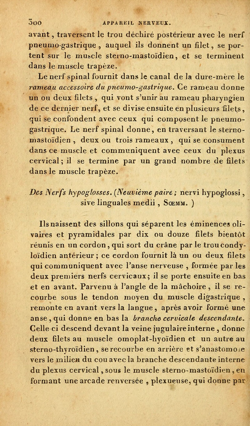 avant, traversent le trou déchiré postérieur avec le nerf pneumogastrique , auquel ils donnent un filet, se por- tent sur le muscle sterno-mastoïdien, et se terminent dans le muscle trapèze. Le nerf spinal fournit dans le canal de la dure-mère le rameau accessoire du pneumo-gastrlque. Ce rameau donne un ou deux filets , qui vont s'unir au rameau pharyngien de ce dernier nerf, et se divise ensuite en plusieurs filets, qui se confondent avec ceux qui composent le pneumo- gastrique. Le nerf spinal donne, en traversant le sterno- mastoïdien , deux ou trois rameaux , qui se consument dans ce muscle et communiquent avec ceux du plexus cervical ; il se termine par un grand nombre de filets dans le muscle trapèze. Des Nerfs hypoglosses. (Neuvième paire ; nervi hypoglossi, sive linguales medii, Sqemm. ) Ilsnaissent des sillons qui séparent les éminences oli- vaires et pyramidales par dix ou douze filets bientôt réunis en un cordon , qui sort du crâne par le troucondy- loïdien antérieur ; ce cordon fournit là un ou deux filets qui communiquent avec l'anse nerveuse , formée par les deux pren)iers nerfs cervicaux; il se porte ensuite en bas et en avant. Parvenu à l'angle de la mâchoire , il se re- courbe sous le tendon moyen du muscle digastrique , remonte en avant vers la langue, après avoir formé une anse, qui donne en bas la branche cervicale descendante. Celle ci descend devant la veine jugulaire interne , donne deux filets au muscle omoplat-hyoïdien et un autre au sterno-thyroïdien, se recourbe en ari^ière et s'anastomoie vers le milicH du cou avec la branche descendante interne du plexus cervical, sous le muscle sterno-mastoïdien, en formant une arcade renversée , plexueuse, q«i donne pat'