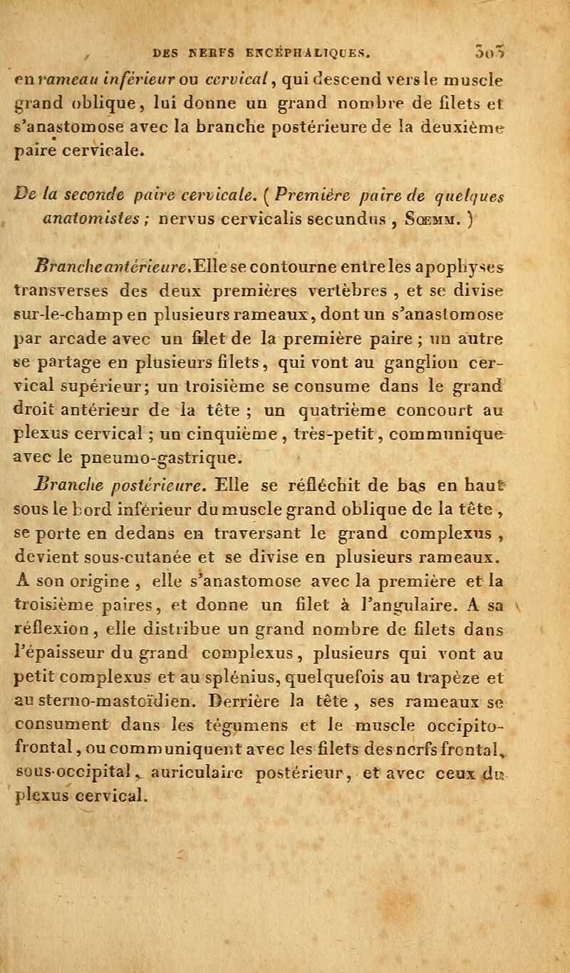 envameau Inférieur on cervical, qui descend vers le muscle grand oblique, lui donne un grand nombre de filets et s'anastomose avec la branche postérieure de la deuxième paire cervicale. De la seconde paire cervicale. [Première paire de quelques anatomistes ; nervus cervicalis secundns , Scemm. ) Brancheavtérieure.'EWe se contourne entre les apophyses transverses des deux premières vertèbres , et se divise sur-le-champ en plusieurs rameaux, dont un s'anastomose par arcade avec un ôlet de la première paire ; un autre Ke partage en plusieurs filets, qui vont au ganglion cer- vical supéiùeur; un troisième se consume dans le grand droit antérieur de la tête ; un quatrième concourt au plexus cervical ; un cinquième , très-petit, communique avec le pneumo-gastrique. Branche postérieure. Elle se réfléchit de bas en haut sous le bord inférieur du muscle grand oblique de la tête , se porte en dedans en traversant le grand complexus , devient sous-cutanée et se divise en plusieurs rameaux. A son origine , elle s'anastomose avec la première et la troisième paires, et donne un filet à l'angulaire. A sa réflexion, elle distribue un grand nombre de filets dans l'épaisseur du grand complexus , plusieurs qui vont au petit complexus et au splénius, quelquefois au trapèze et au sterno-mastoïdien. Derrière la tête , ses rameaux se consument dans les tégumens et le muscle occipito- frontal, ou communiquent avec les filets des nerfs frontal, sous-occipital ^ auriculaire postérieur, et avec ceux dis plexus cervical.